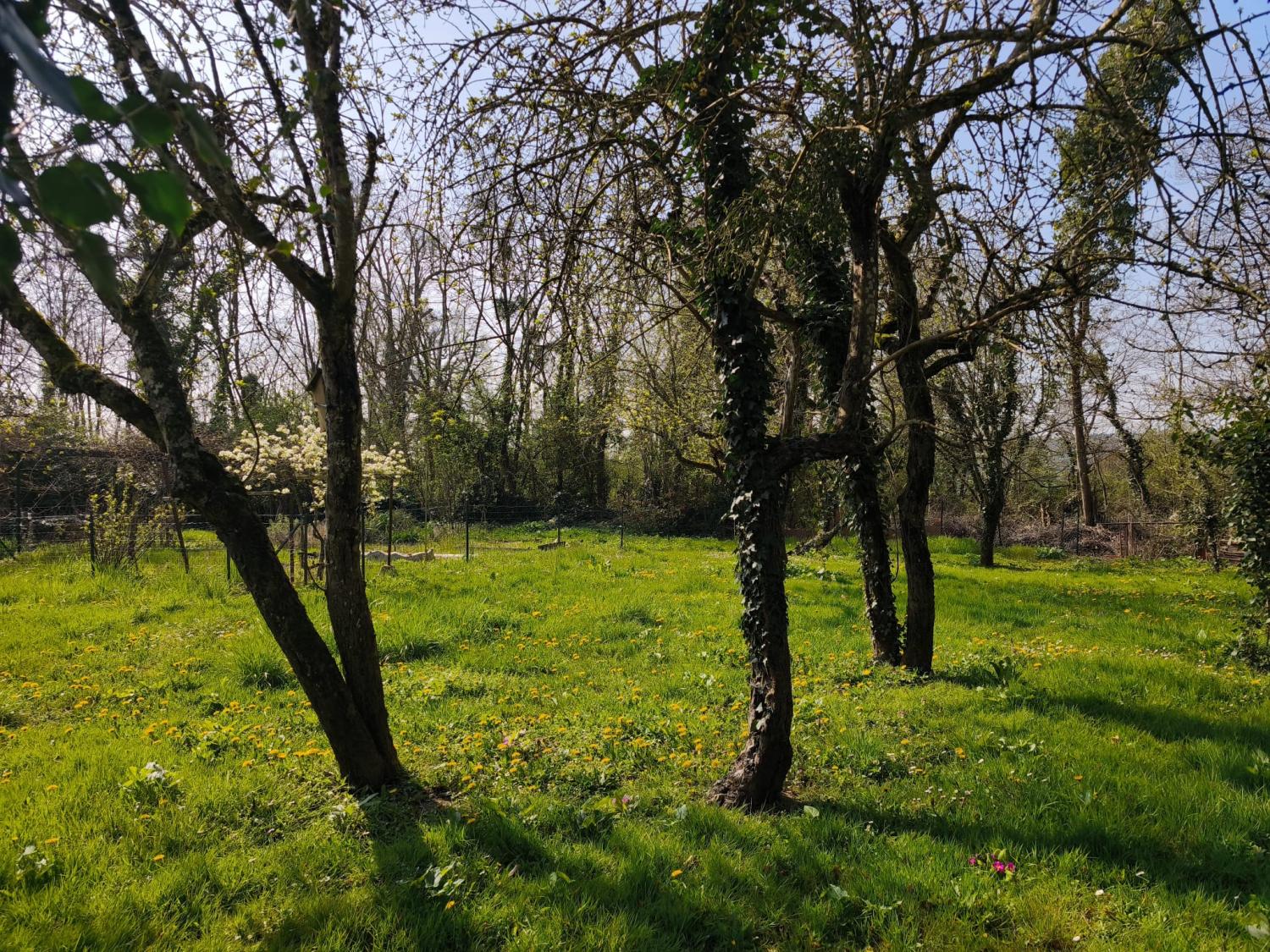  kaufen Öko Haus Tazilly Nièvre 19