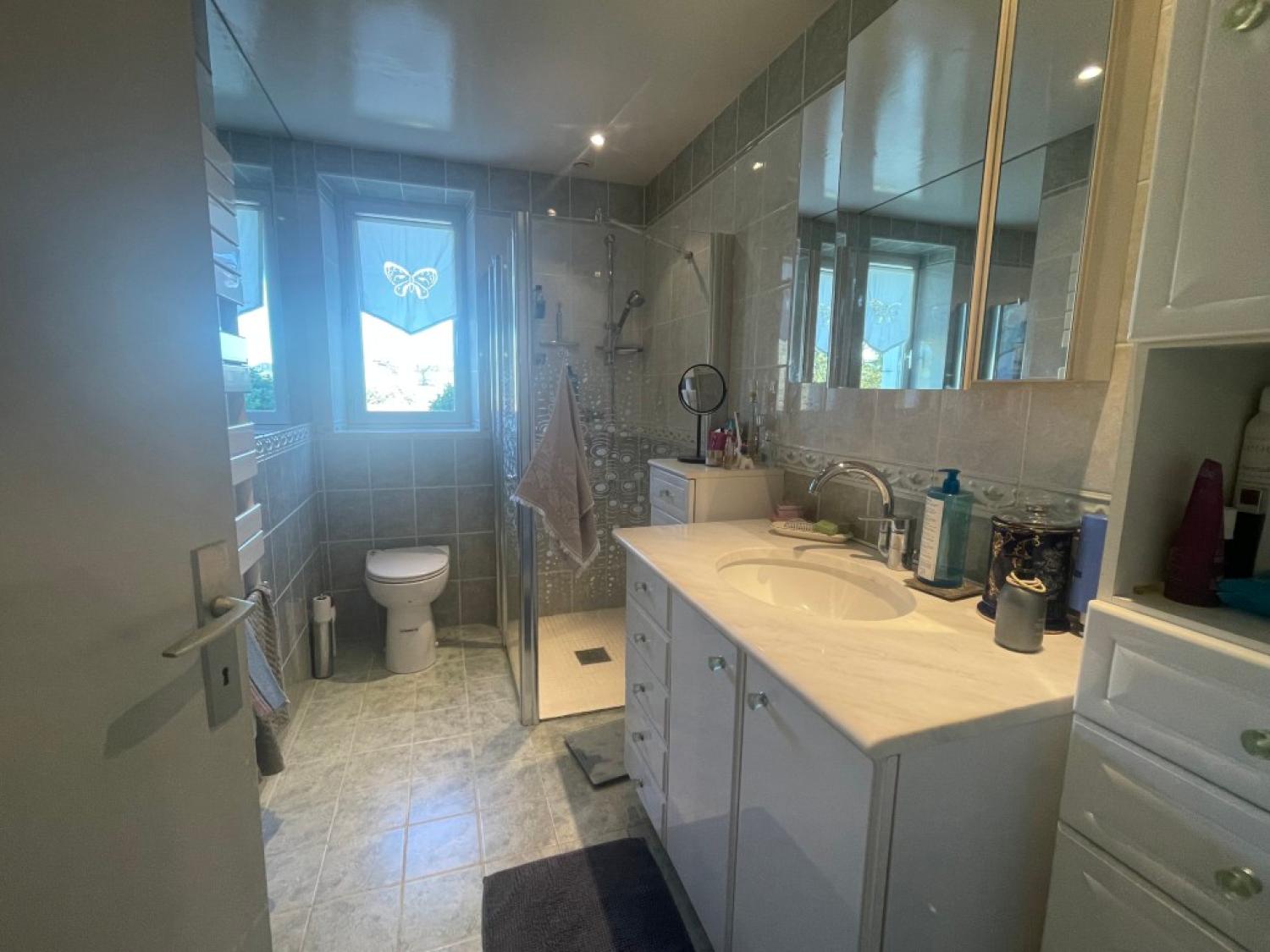  kaufen Freistehend Dun-sur-Grandry Nièvre 12