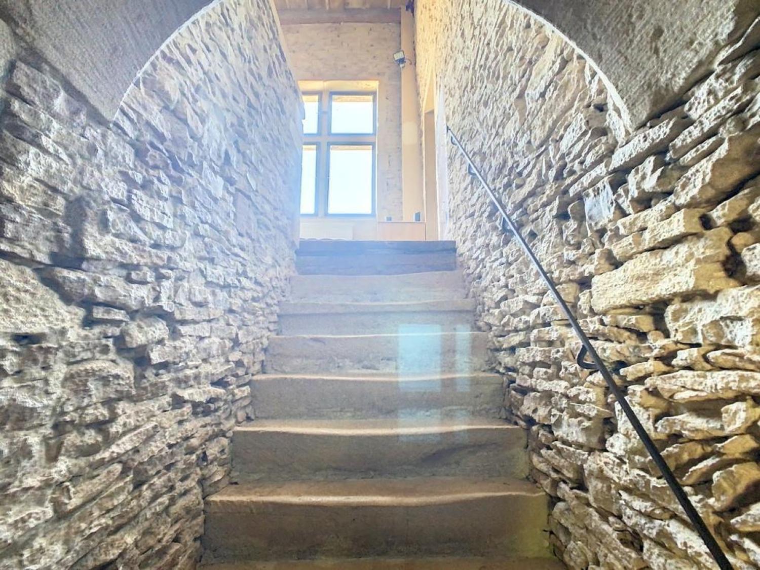  kaufen Haus Pommiers Rhône 2