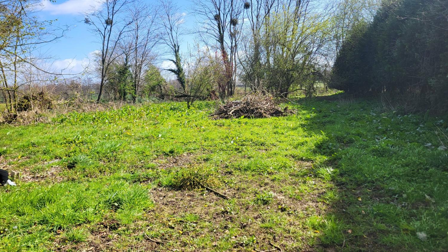 kaufen Freistehend Maupertuis Manche 4