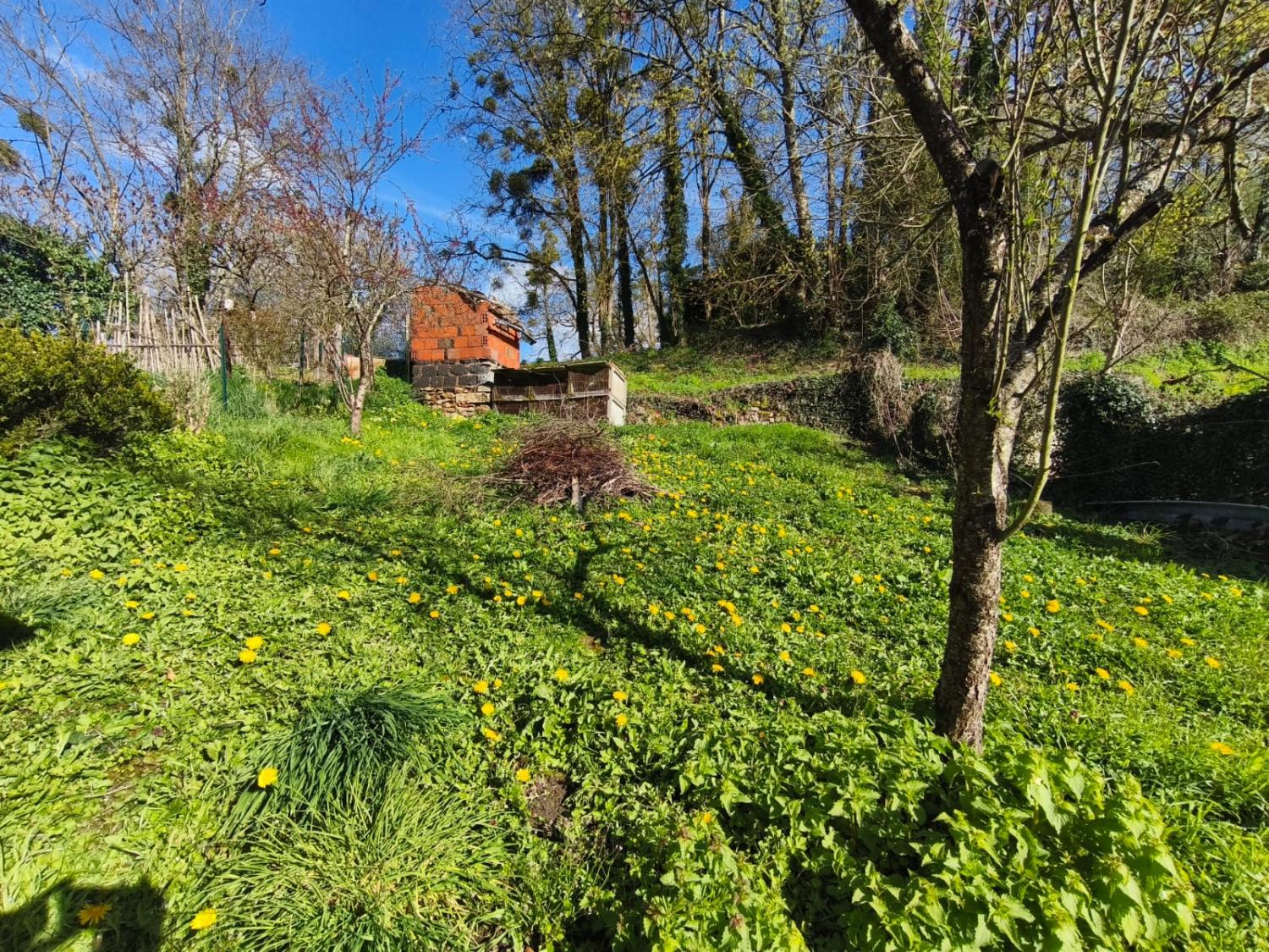 kaufen Dorfhaus Moulins-Engilbert Nièvre 10