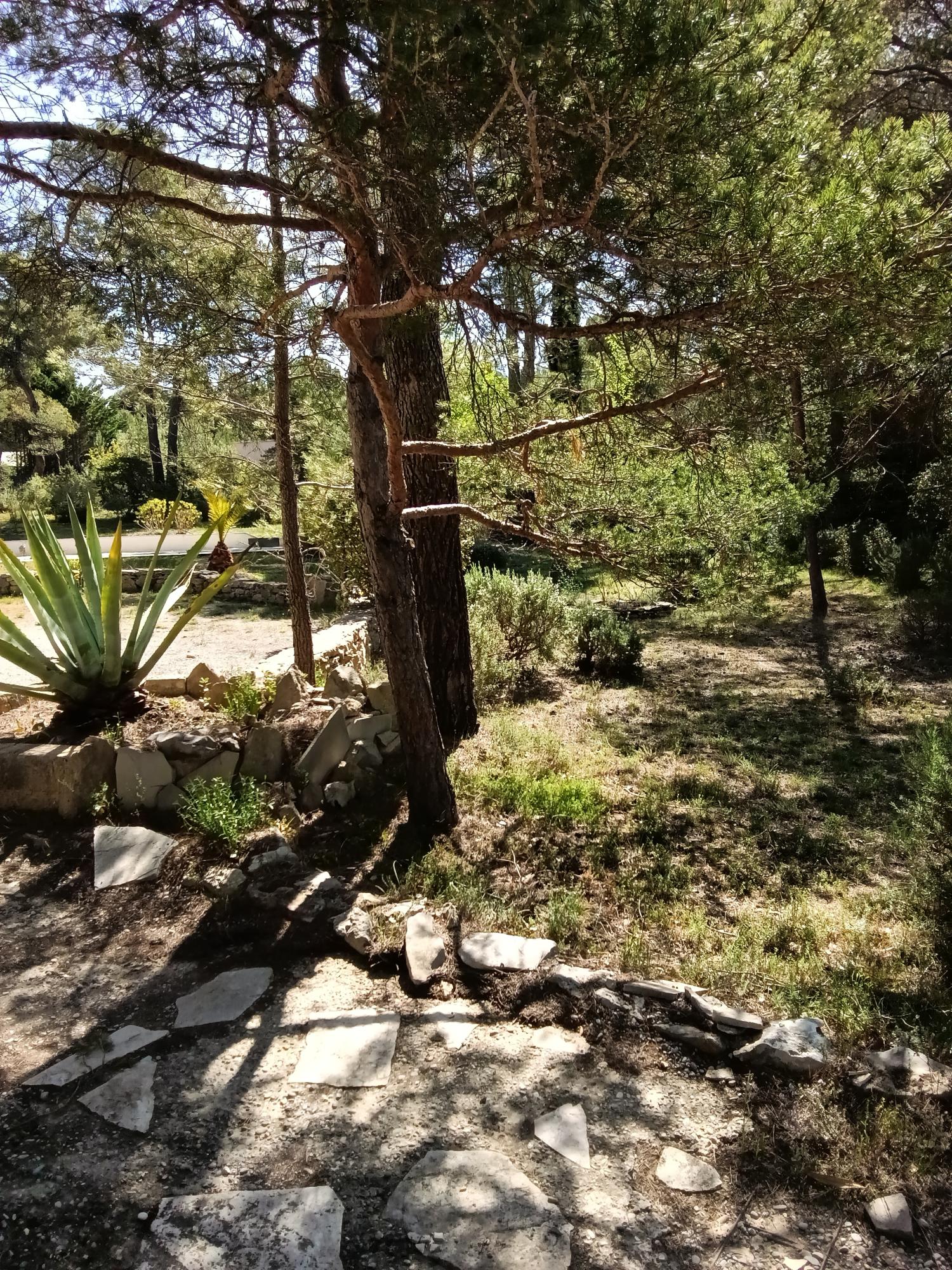  kaufen Landgut Ginasservis Var 28