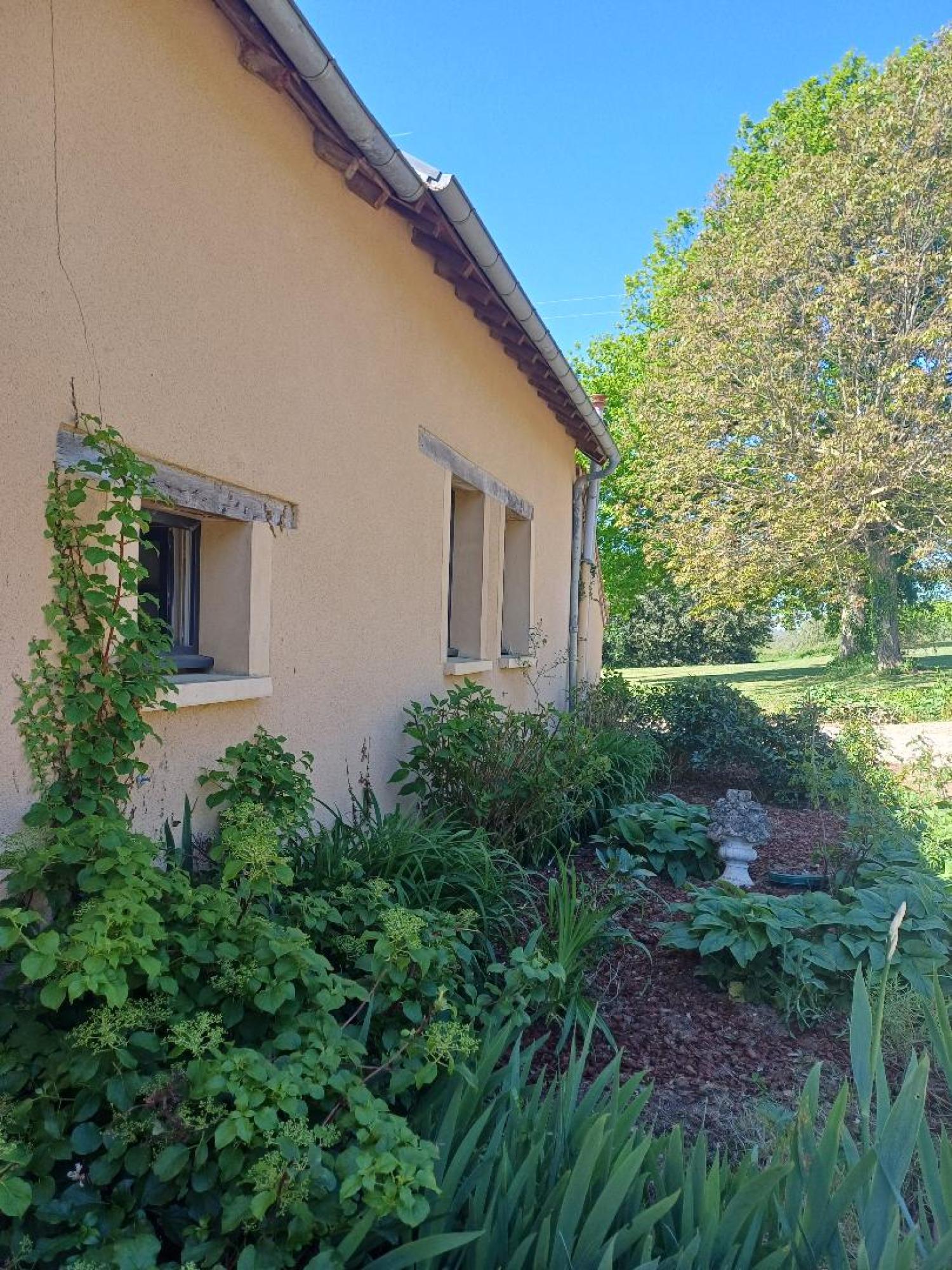  kaufen Haus Saint-Plantaire Indre 13