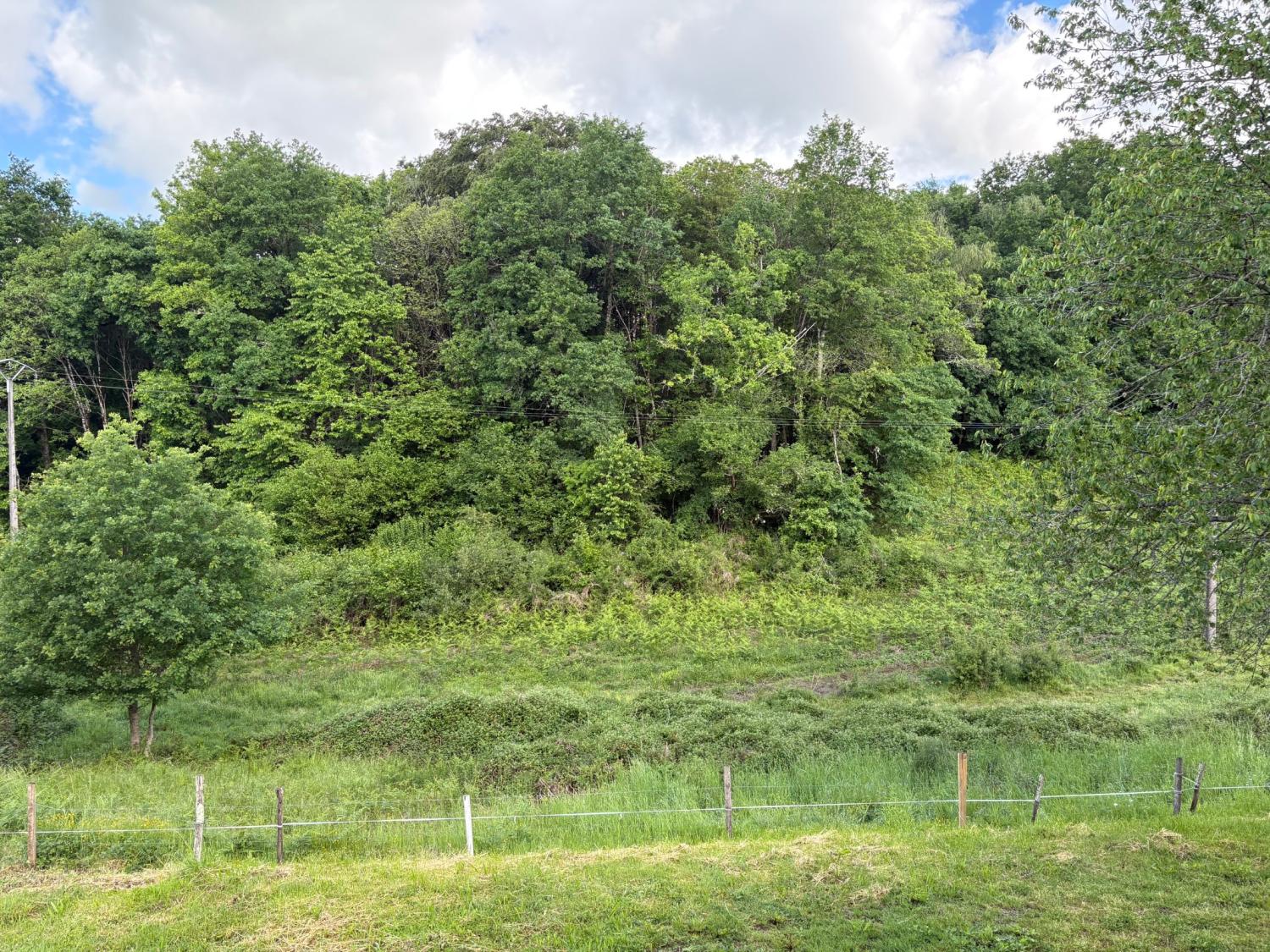 kaufen Bauernhof Coussac-Bonneval Haute-Vienne 5