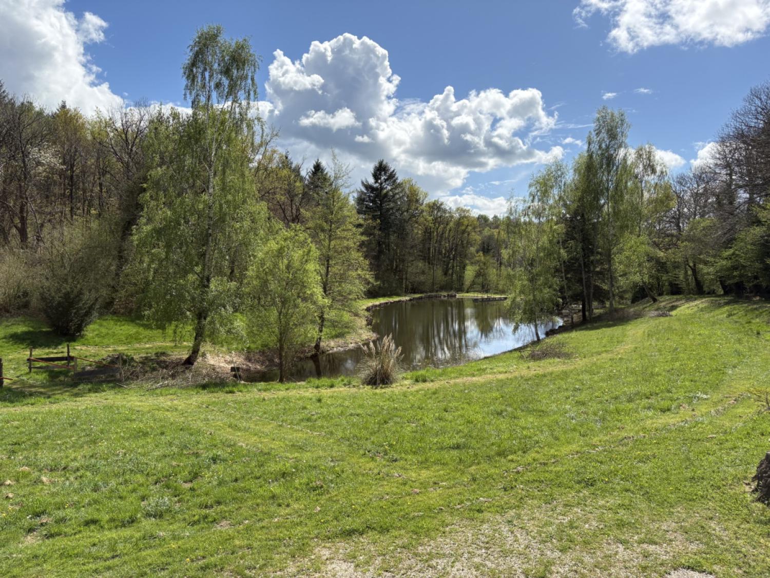 kaufen Freistehend Château-Chervix Haute-Vienne 4