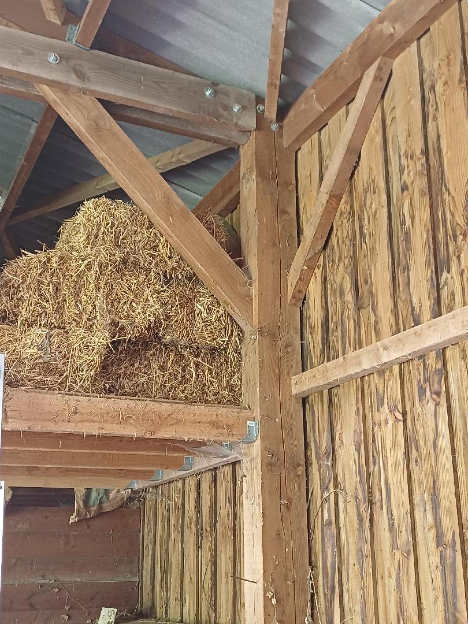  kaufen Haus Saint-Plantaire Indre 28