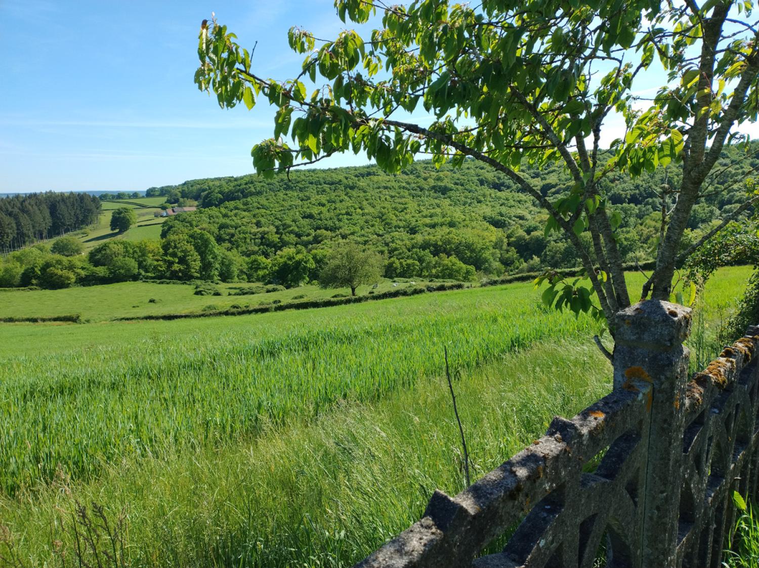  kaufen Bauernhof Uxeau Saône-et-Loire 9