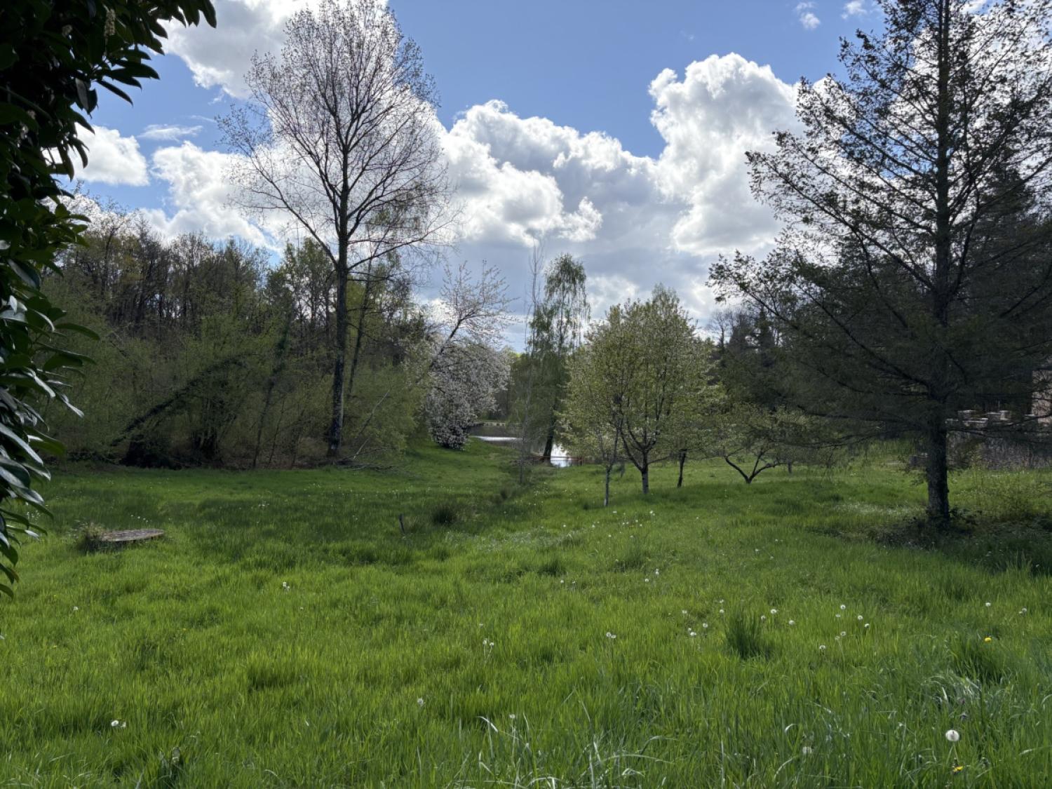 kaufen Freistehend Château-Chervix Haute-Vienne 15