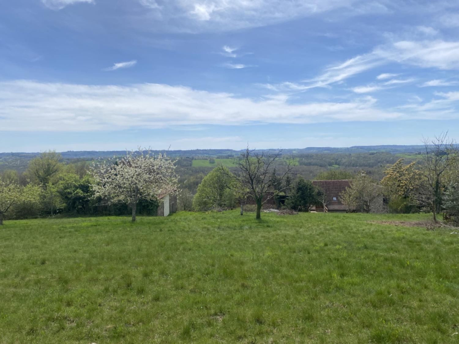 kaufen Bauernhof Juillac Corrèze 6
