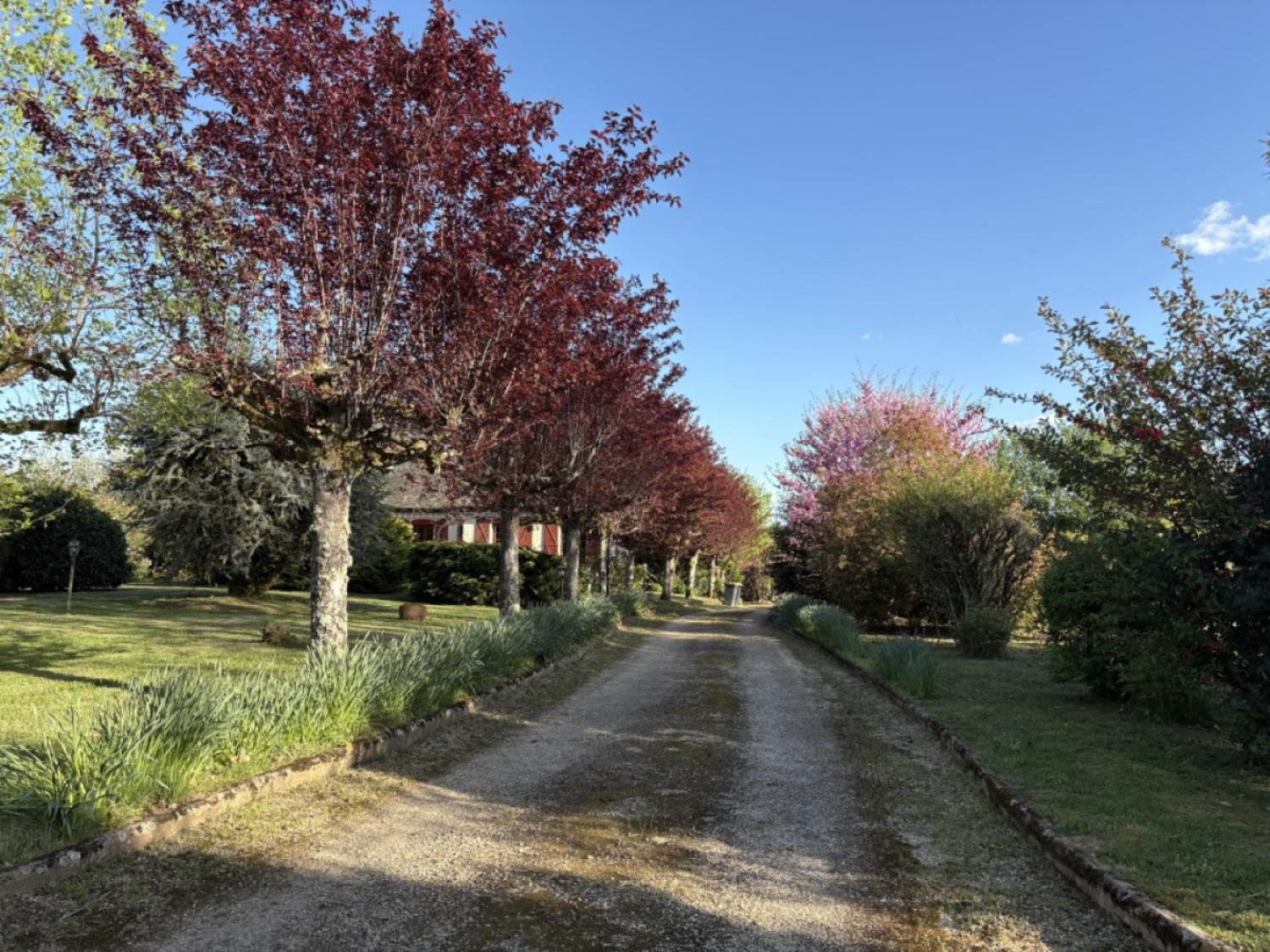 kaufen Freistehend Lubersac Corrèze 19