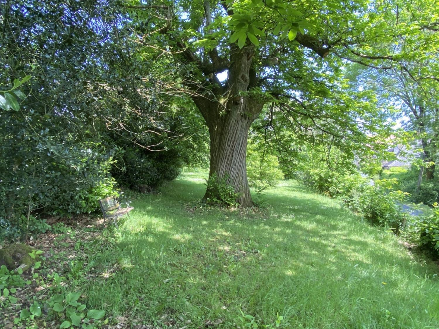 kaufen Freistehend Juillac Corrèze 19