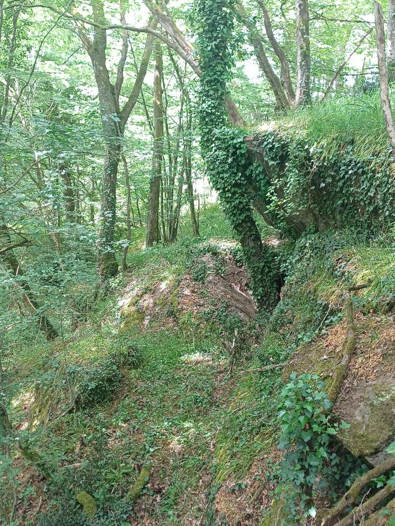  kaufen Haus Saint-Plantaire Indre 31