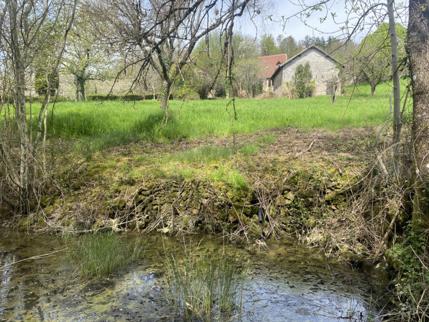 kaufen Bauernhof Juillac Corrèze 17