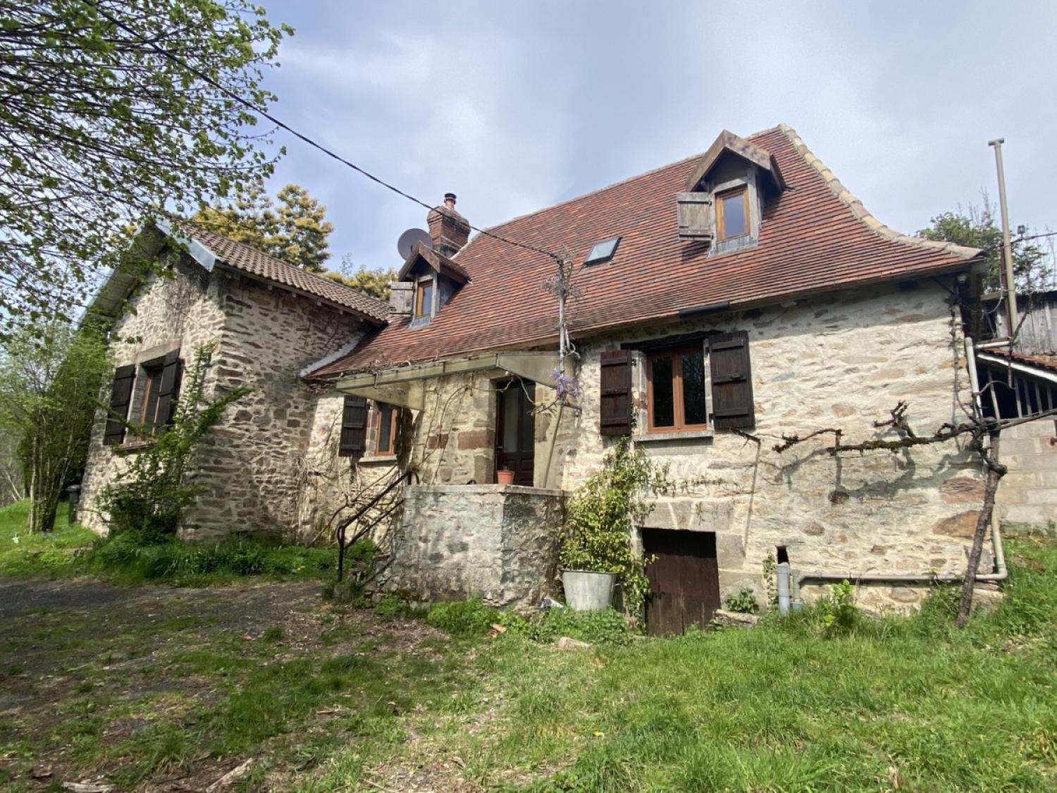 kaufen Bauernhof Juillac Corrèze 2