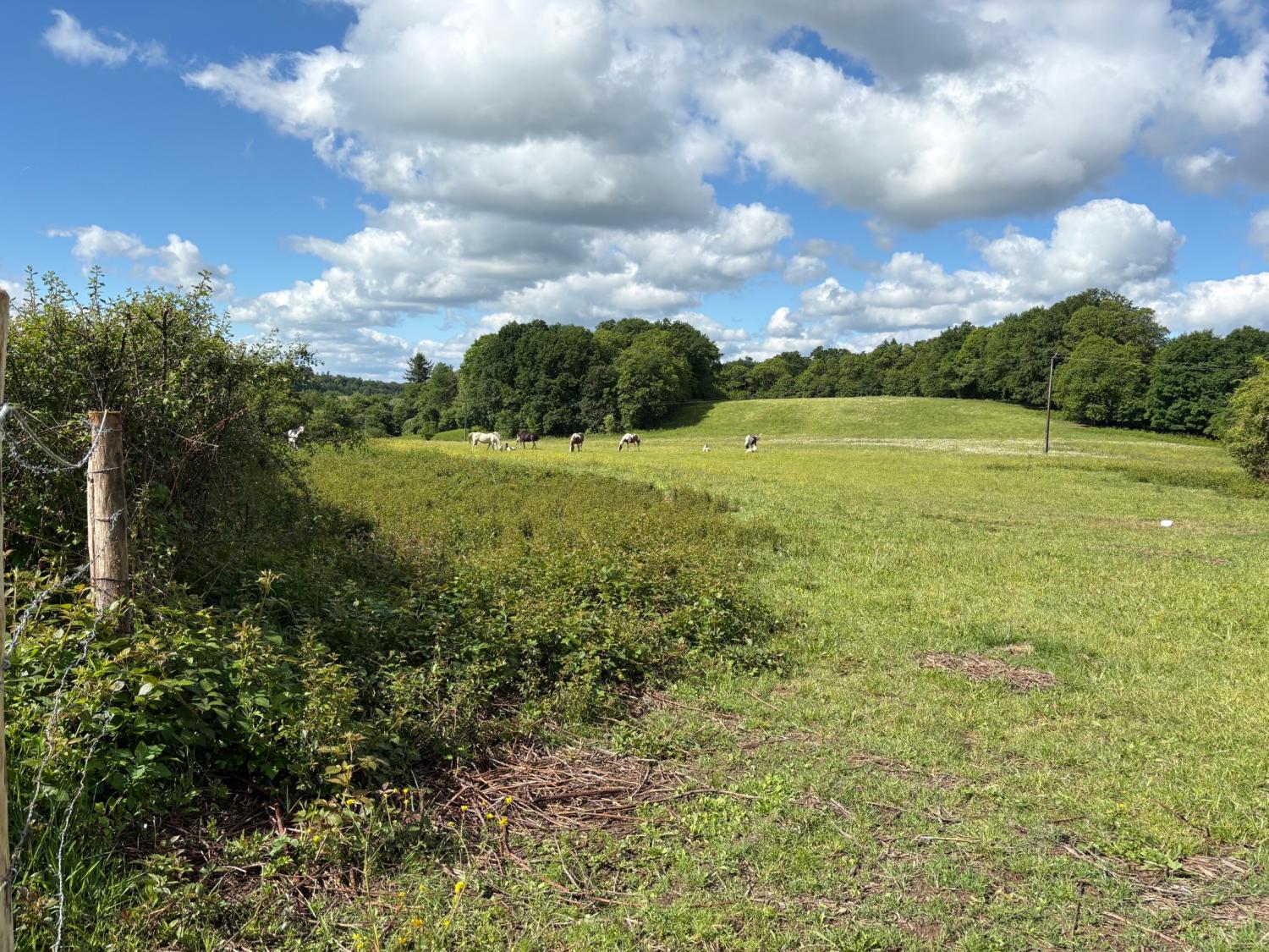 kaufen Bauernhof Coussac-Bonneval Haute-Vienne 4