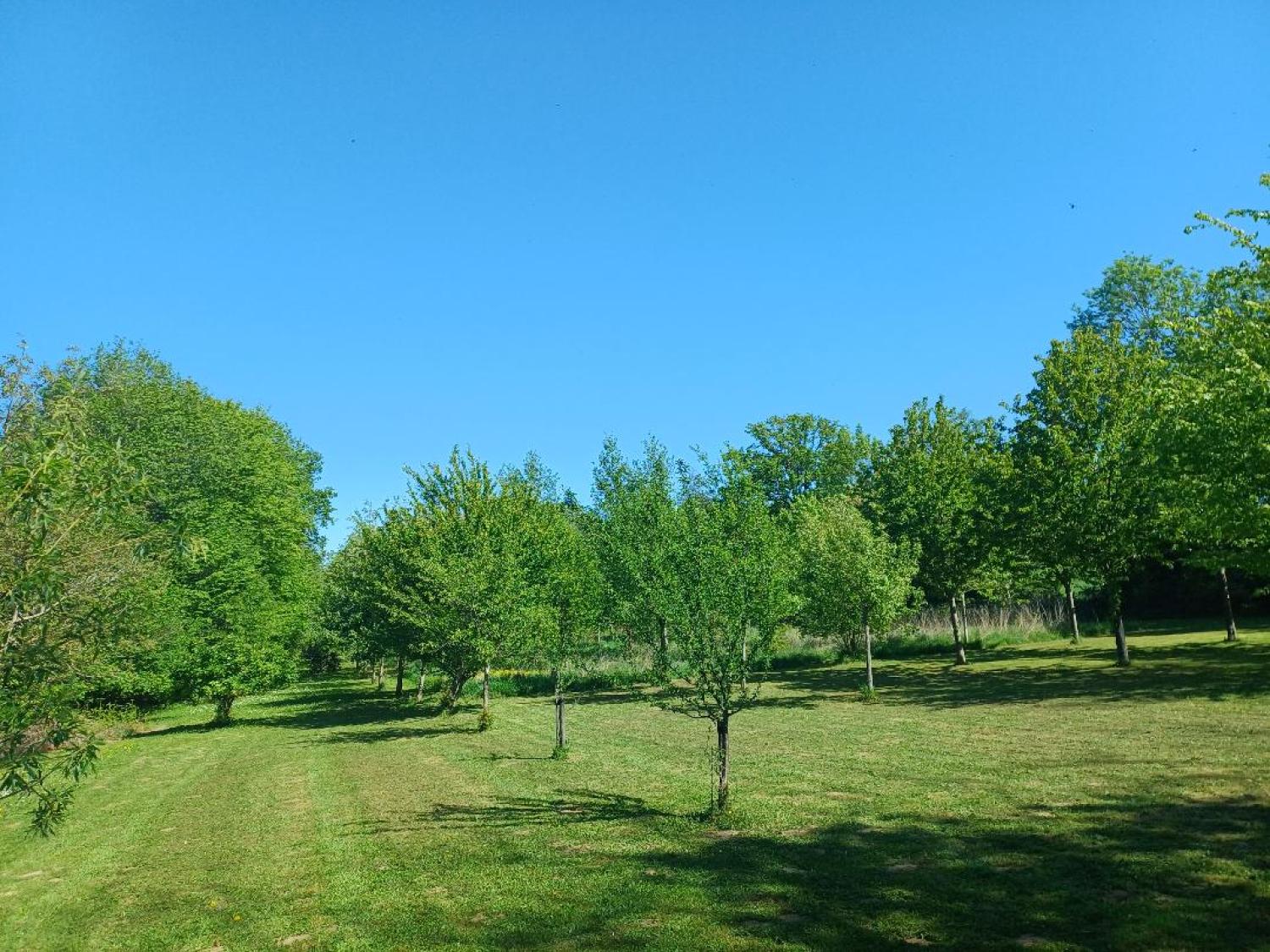  kaufen Haus Saint-Plantaire Indre 39