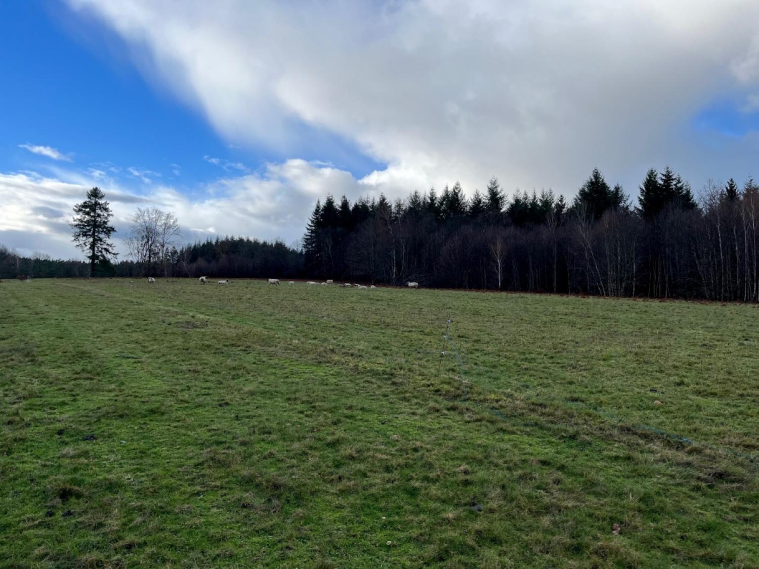 kaufen Bauernhof Saint-Yrieix-la-Perche Haute-Vienne 5