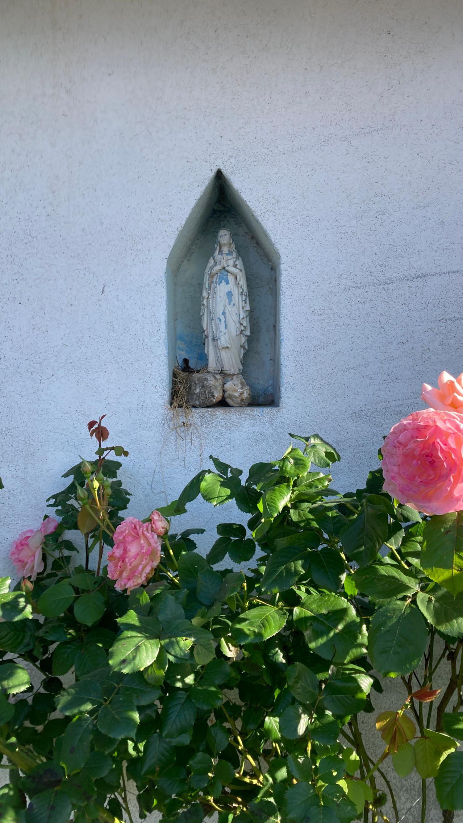  kaufen Bauernhof Saint-Sernin-sur-Rance Aveyron 29