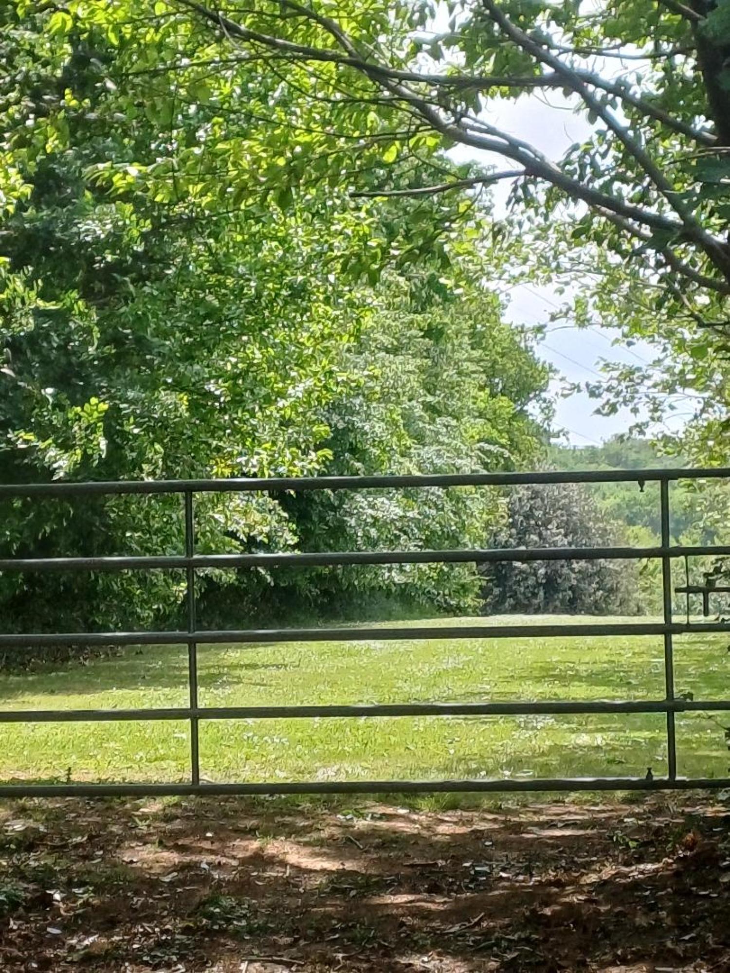  kaufen Haus Saint-Plantaire Indre 41