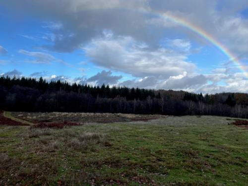  kaufen Bauernhof Saint-Yrieix-la-Perche Haute-Vienne 6