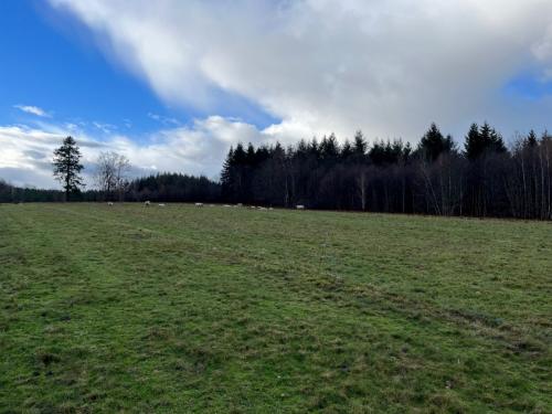  kaufen Bauernhof Saint-Yrieix-la-Perche Haute-Vienne 5