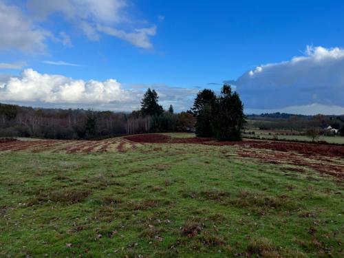  kaufen Bauernhof Saint-Yrieix-la-Perche Haute-Vienne 19