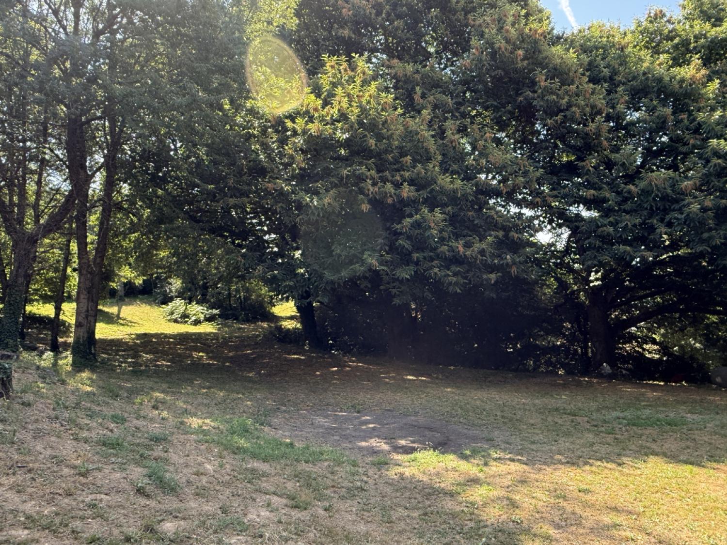 kaufen Bauernhof Concèze Corrèze 27