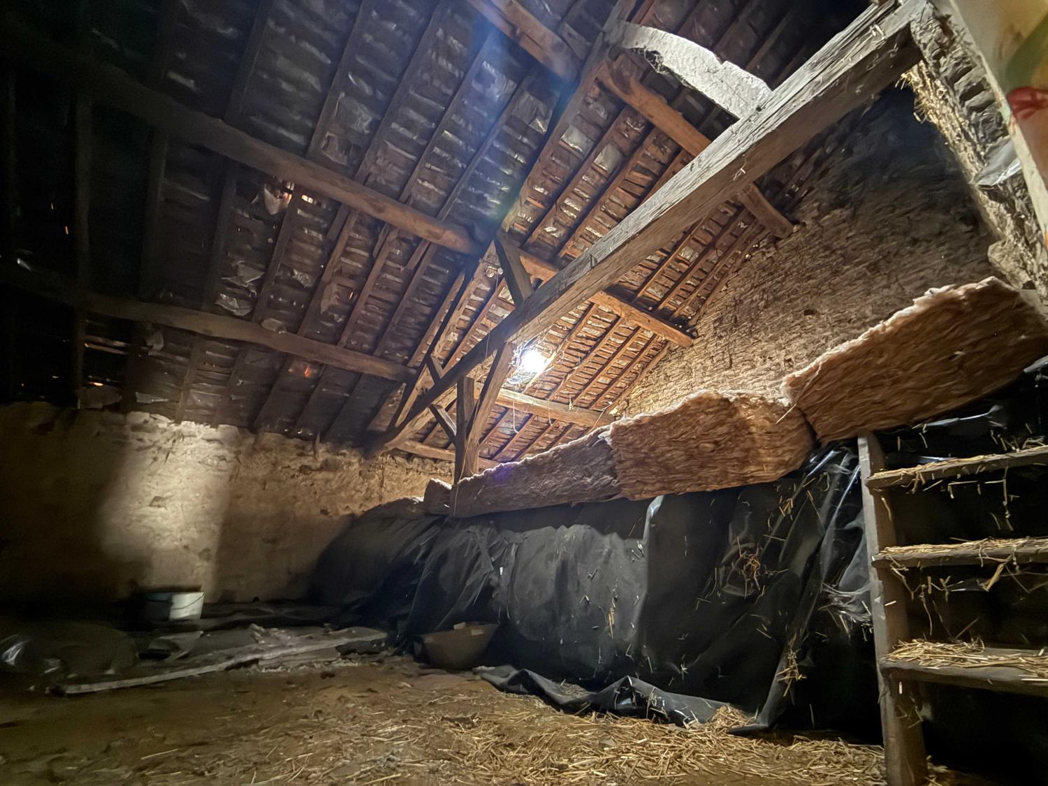 kaufen Dorfhaus Bourbonne-les-Bains Haute-Marne 14