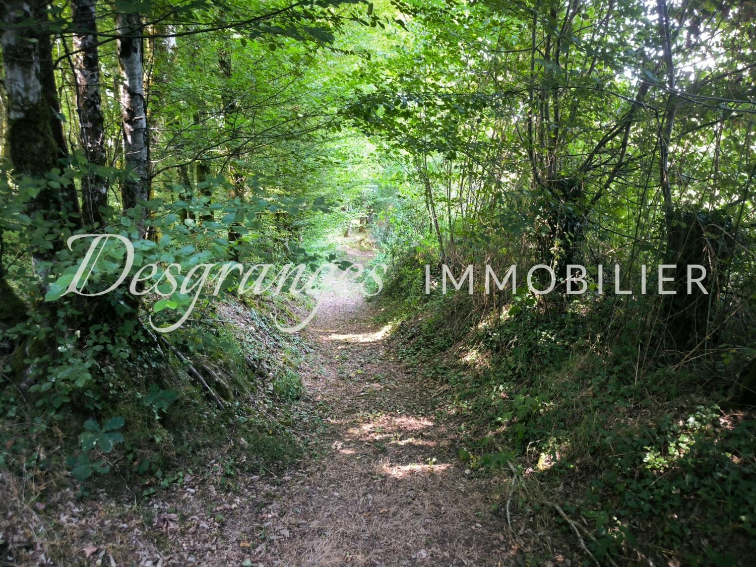 kaufen Landgut Savignac-Lédrier Dordogne 20