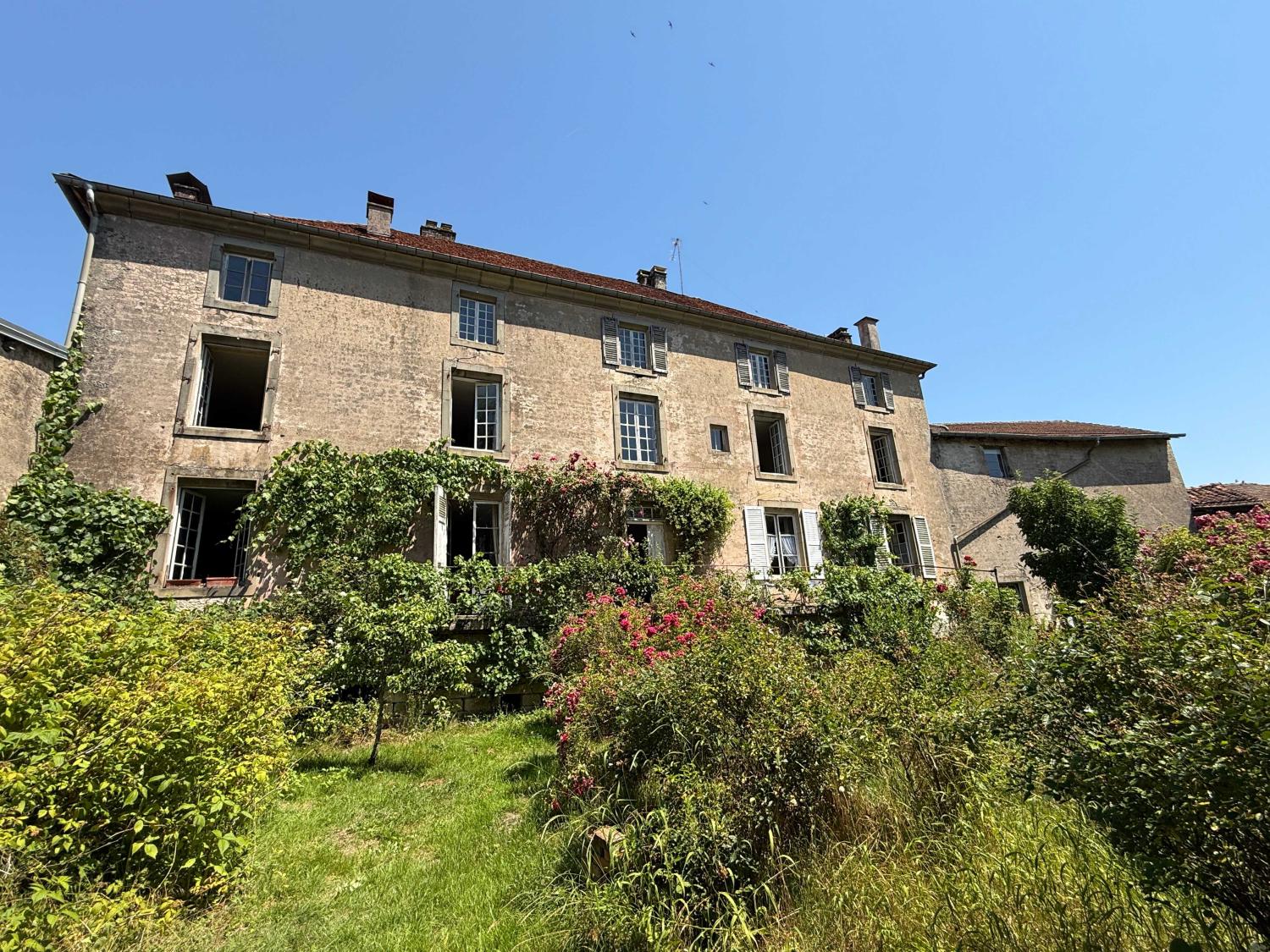  kaufen Bürgerhaus Châtillon-sur-Saône Vogesen 45