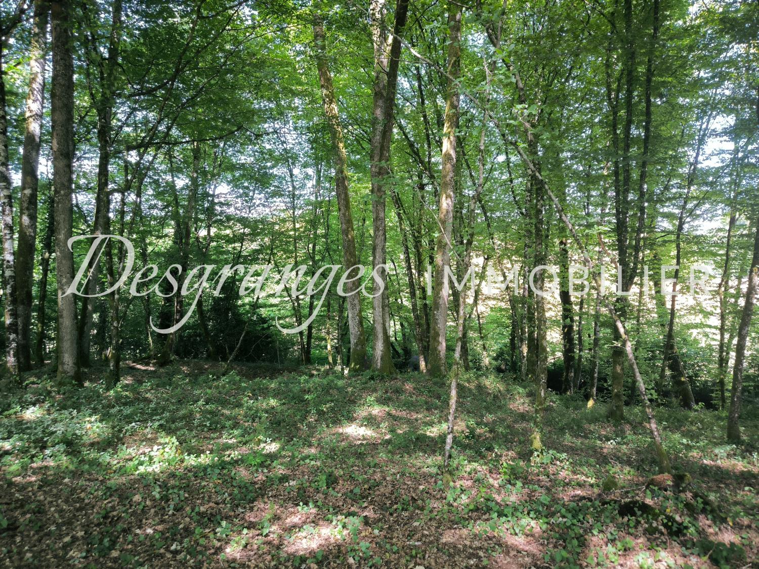 kaufen Landgut Savignac-Lédrier Dordogne 21