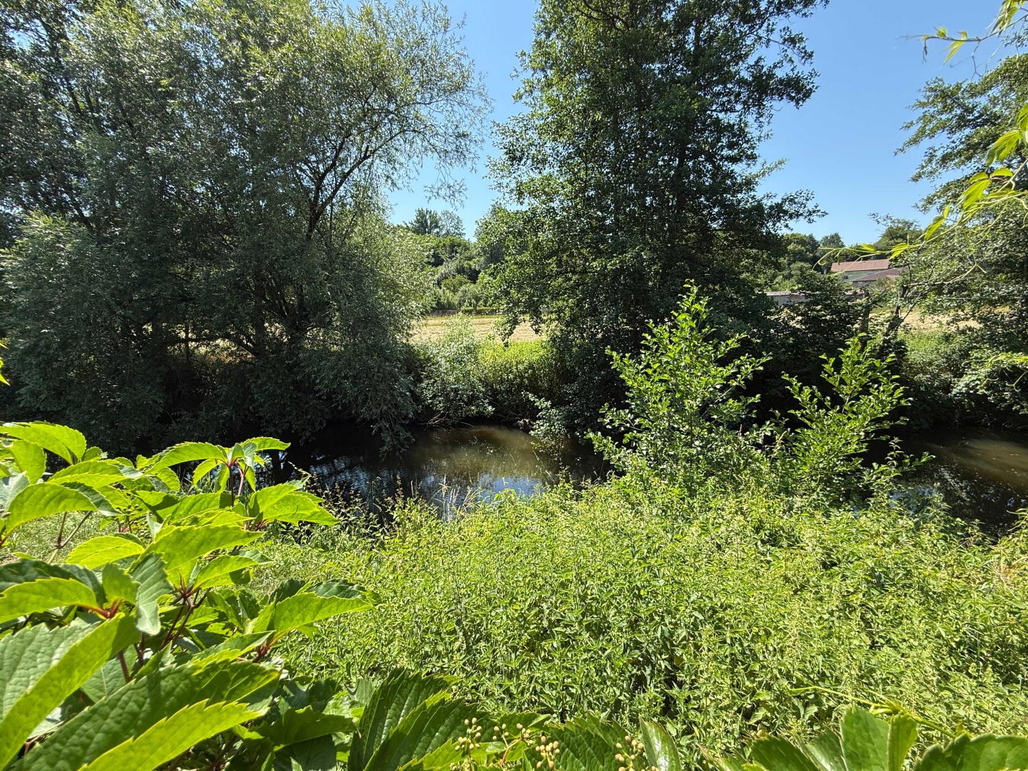  kaufen Bürgerhaus Châtillon-sur-Saône Vogesen 36
