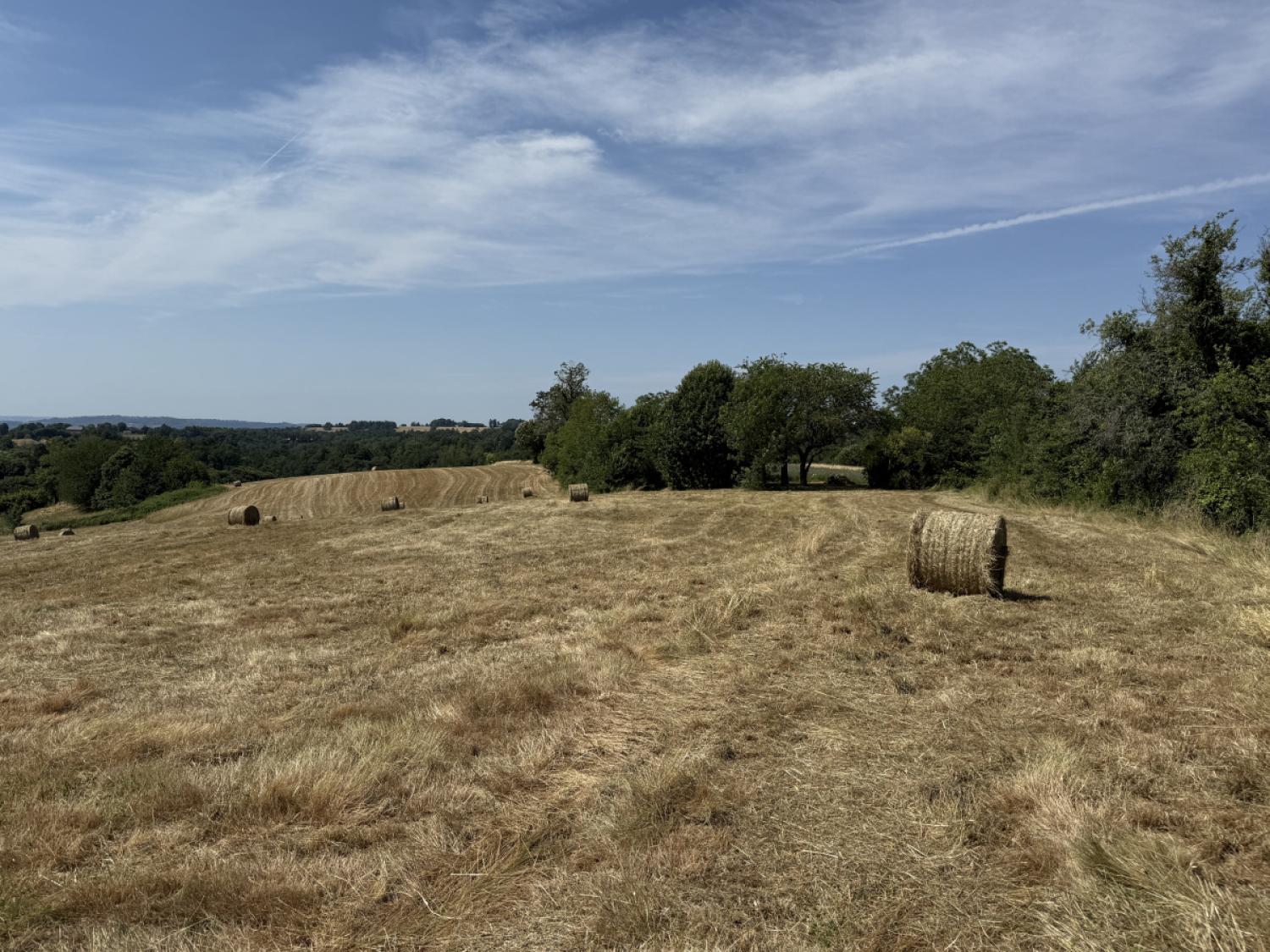 kaufen Bauernhof Concèze Corrèze 25