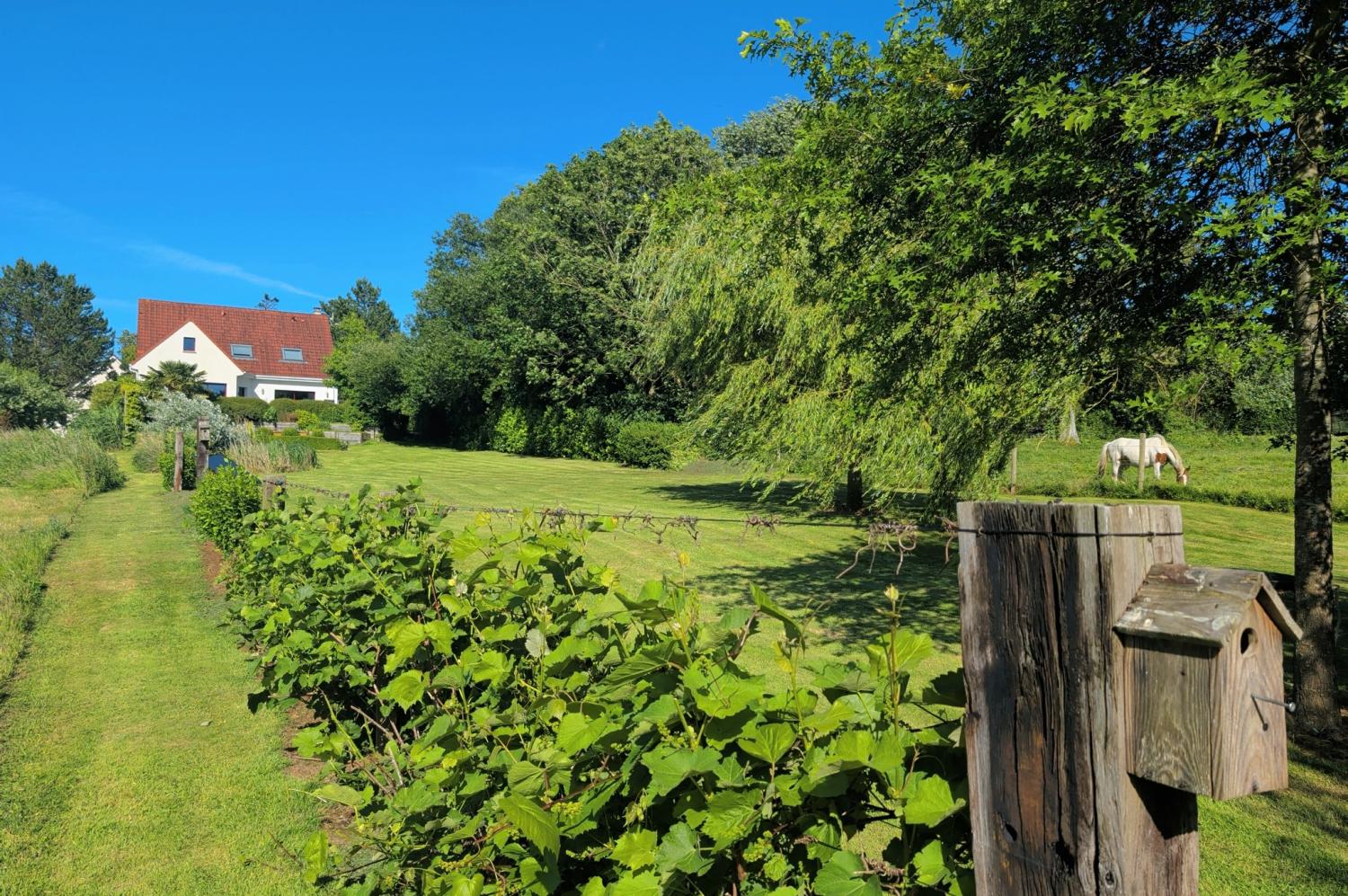  kaufen Villa Audembert Pas-de-Calais 7