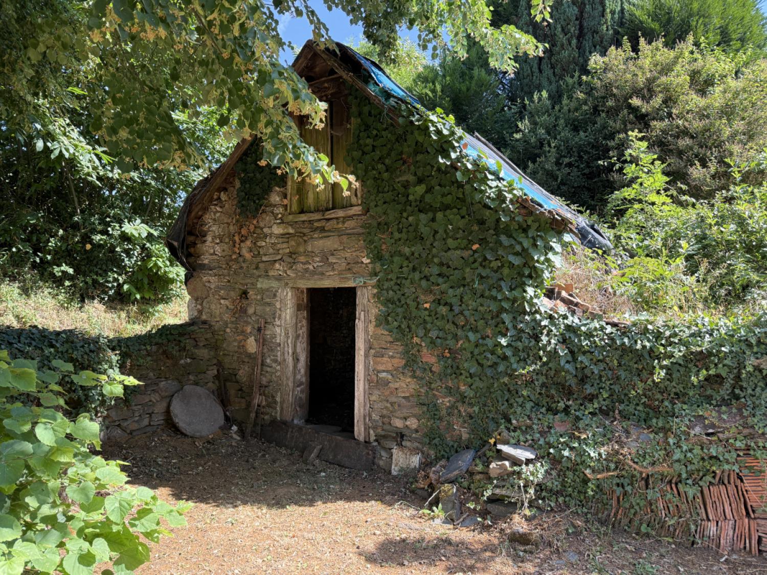 kaufen Bauernhof Concèze Corrèze 8