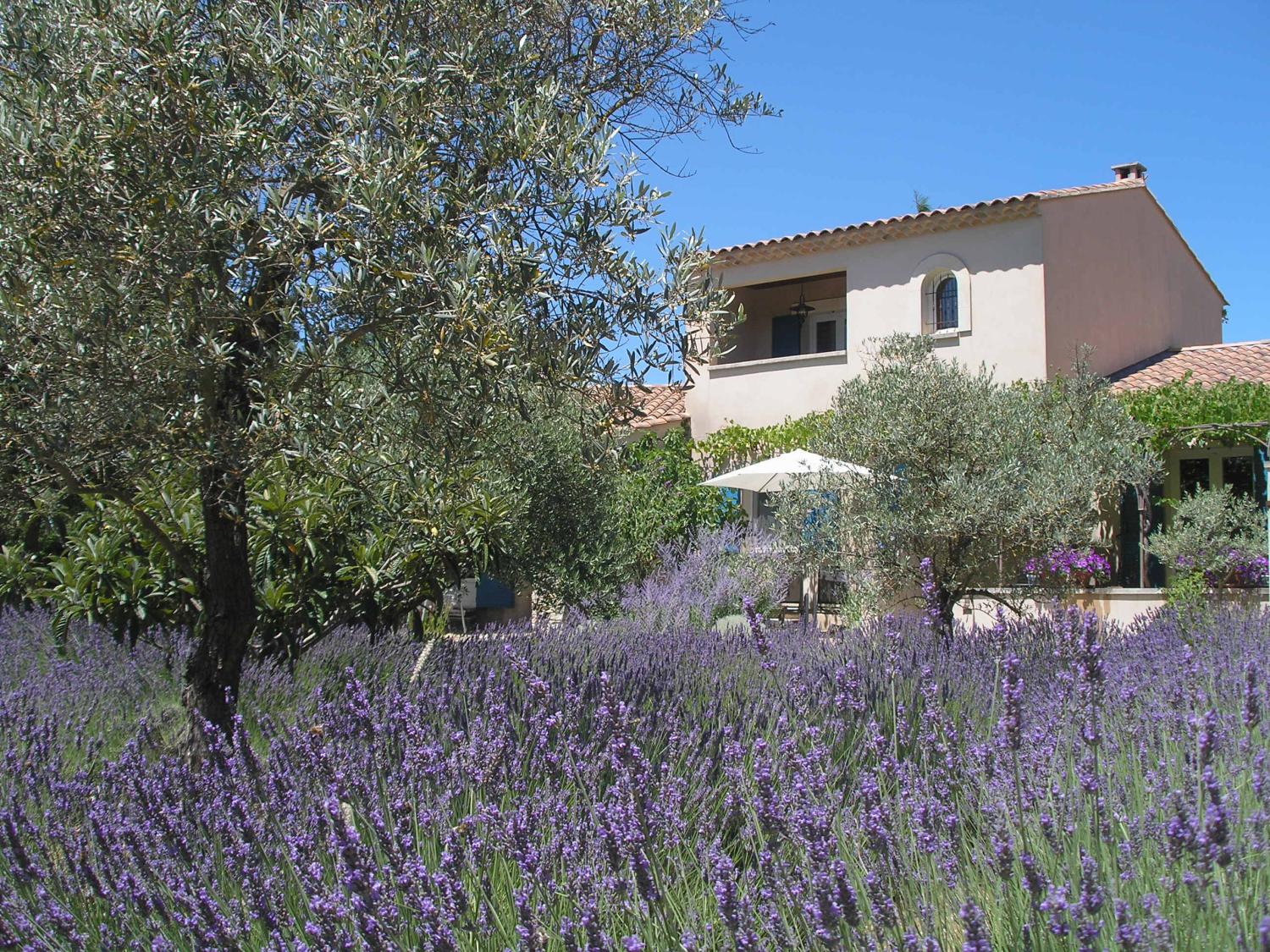  kaufen Ferienhaus/ Gästezimmer Lacoste Vaucluse 1