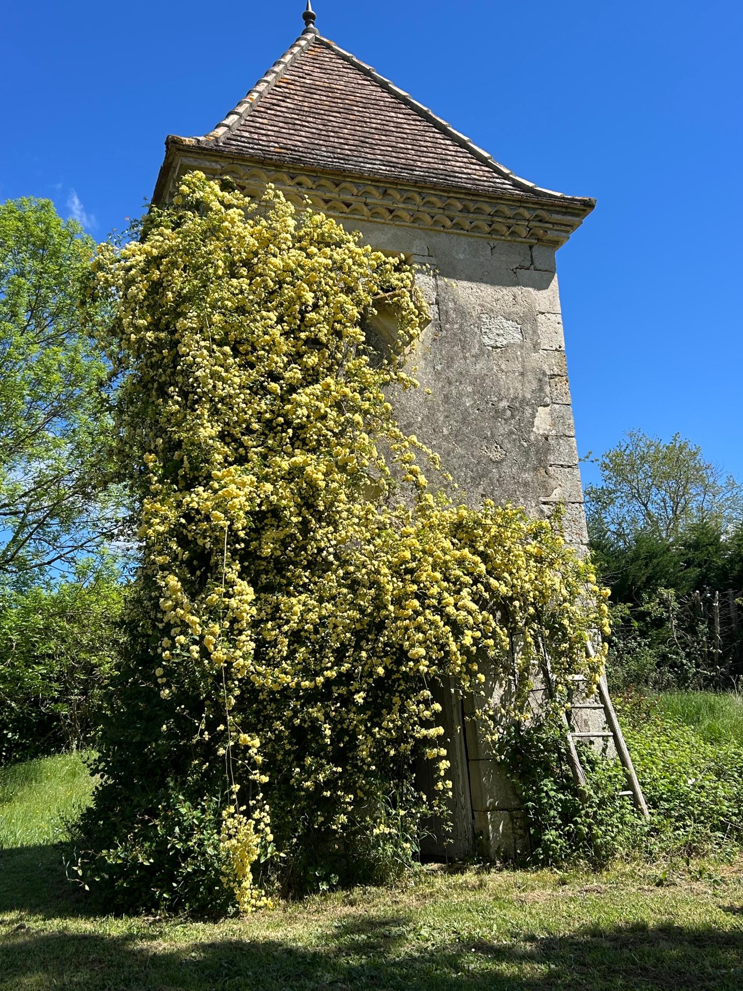 kaufen Freistehend Grayssas Lot-et-Garonne 30