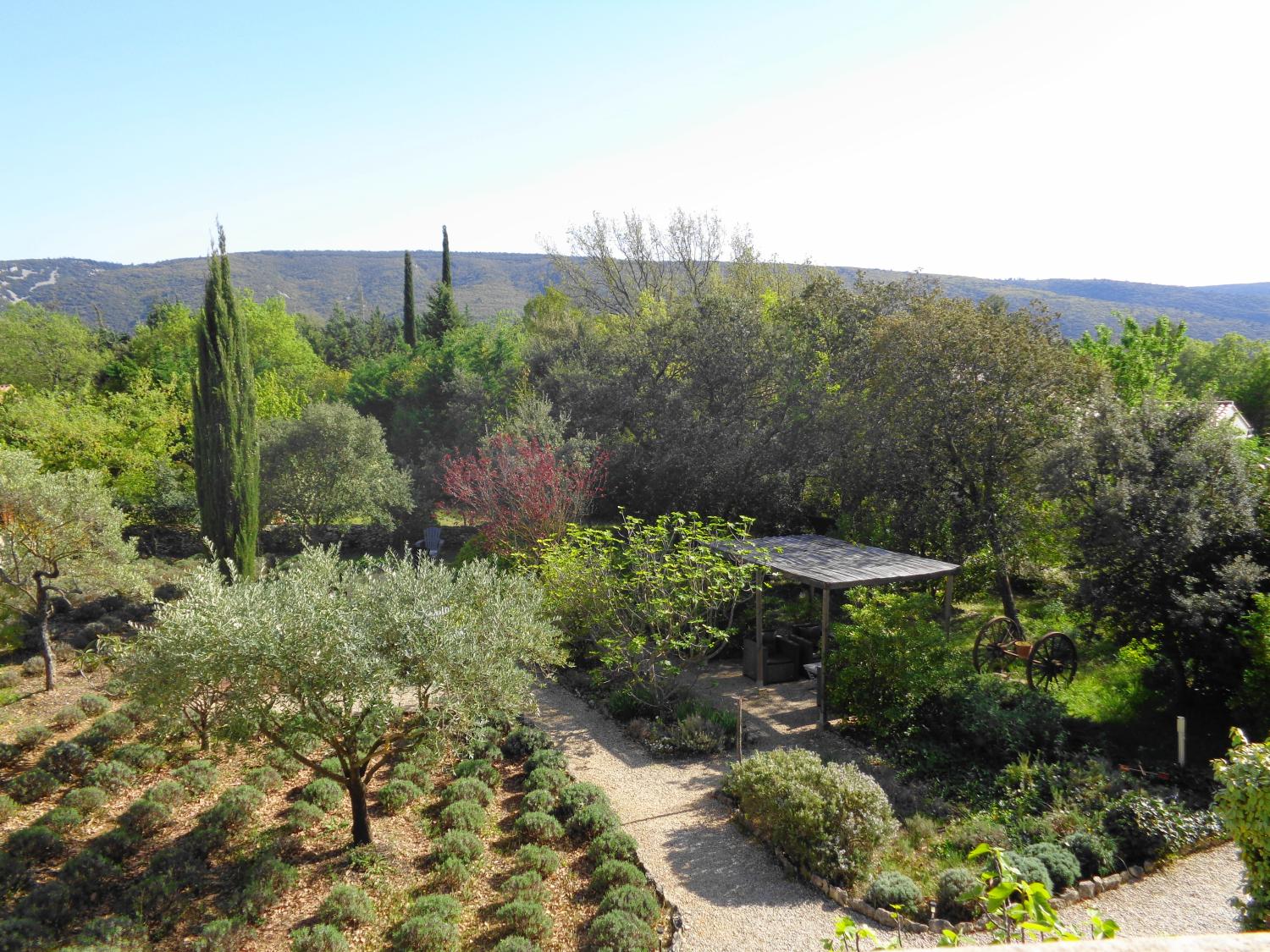  kaufen Ferienhaus/ Gästezimmer Lacoste Vaucluse 10