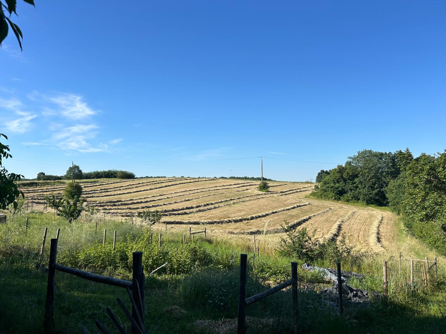  kaufen Freistehend Grayssas Lot-et-Garonne 35