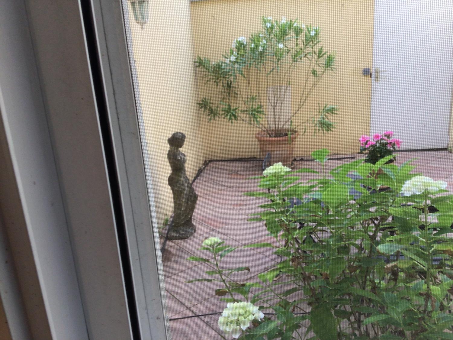kaufen Villa Mougins Alpes-Maritimes 13
