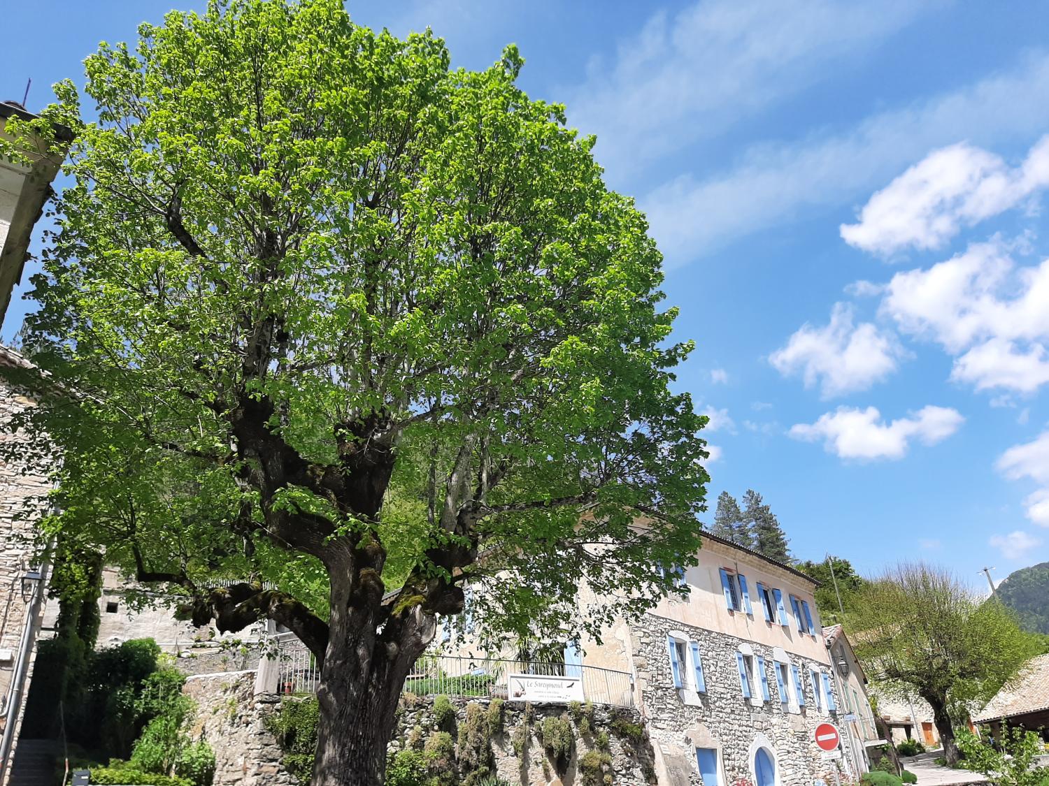 kaufen Freistehend Châtillon-en-Diois Drôme 44