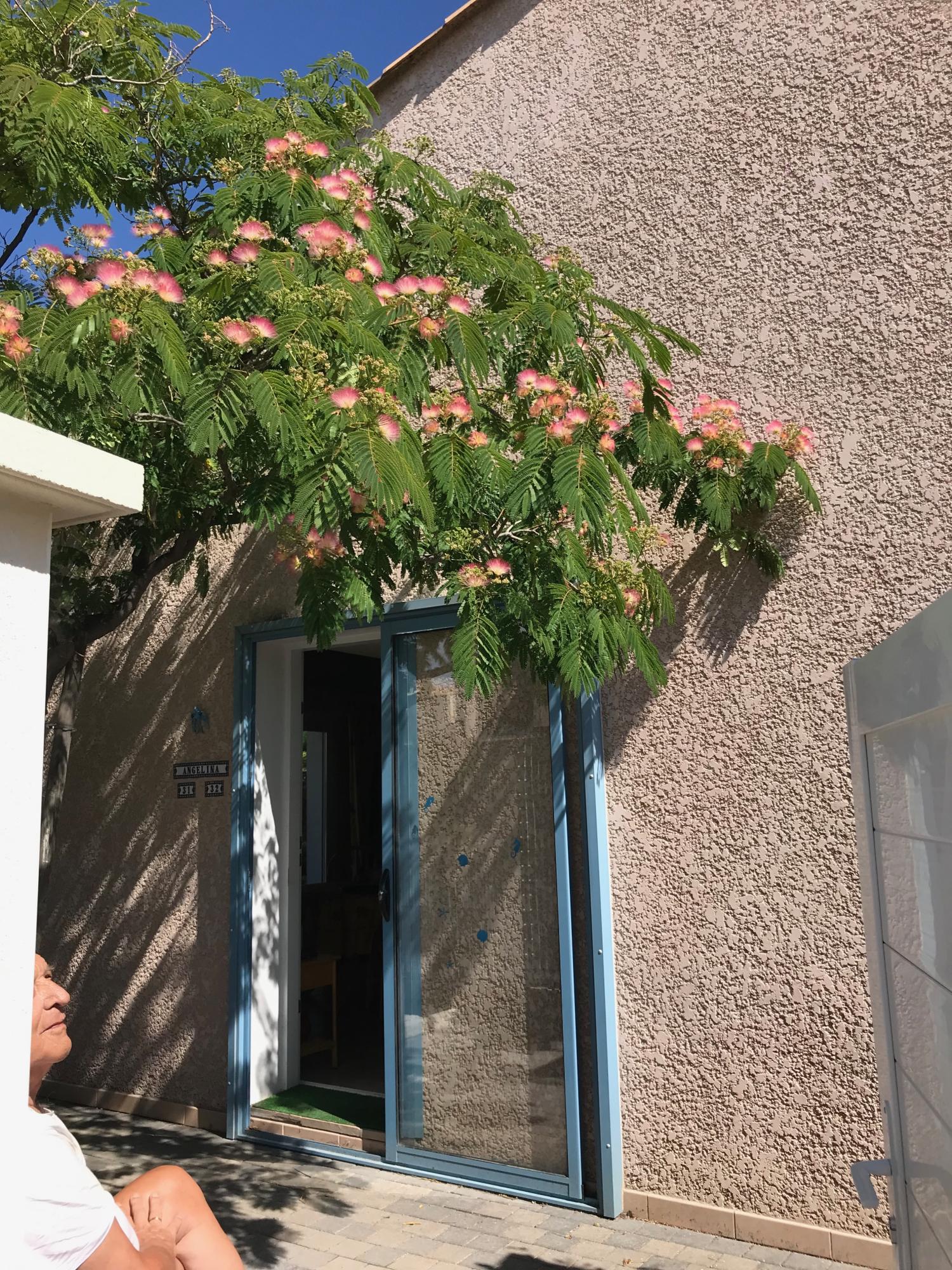  kaufen Villa Agde Hérault 14
