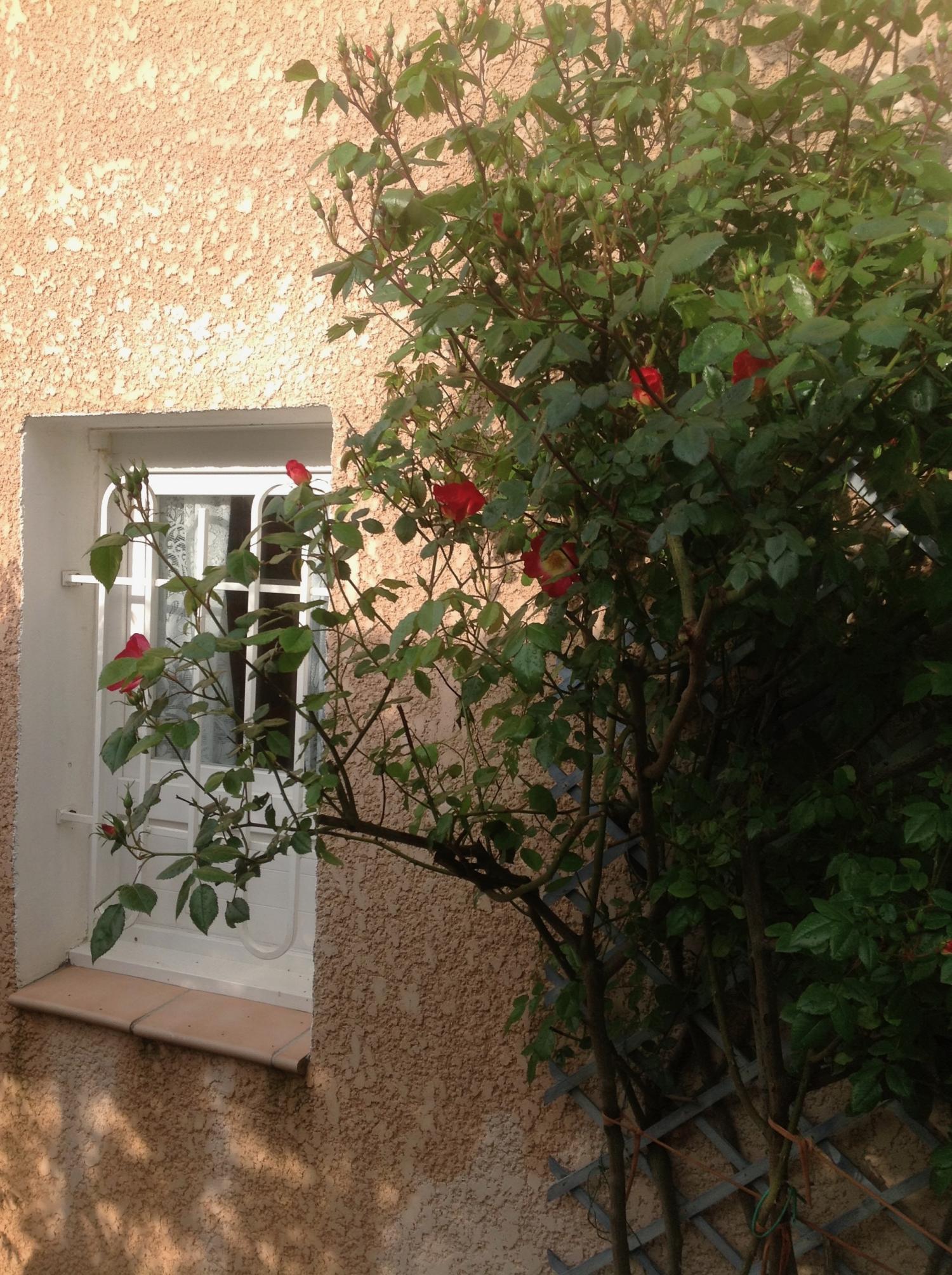  kaufen Villa Agde Hérault 6