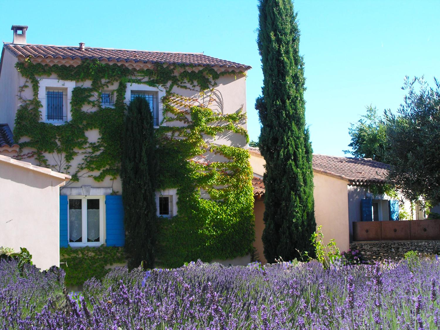 kaufen Ferienhaus/ Gästezimmer Lacoste Vaucluse 2