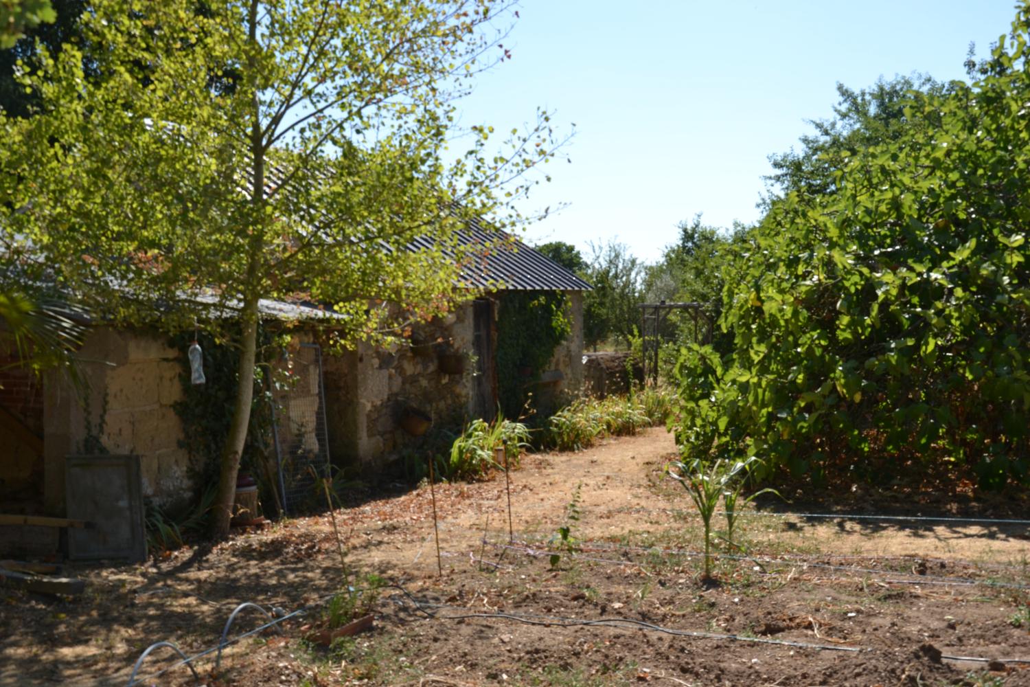  kaufen Bauernhof Chavagnes Maine-et-Loire 3