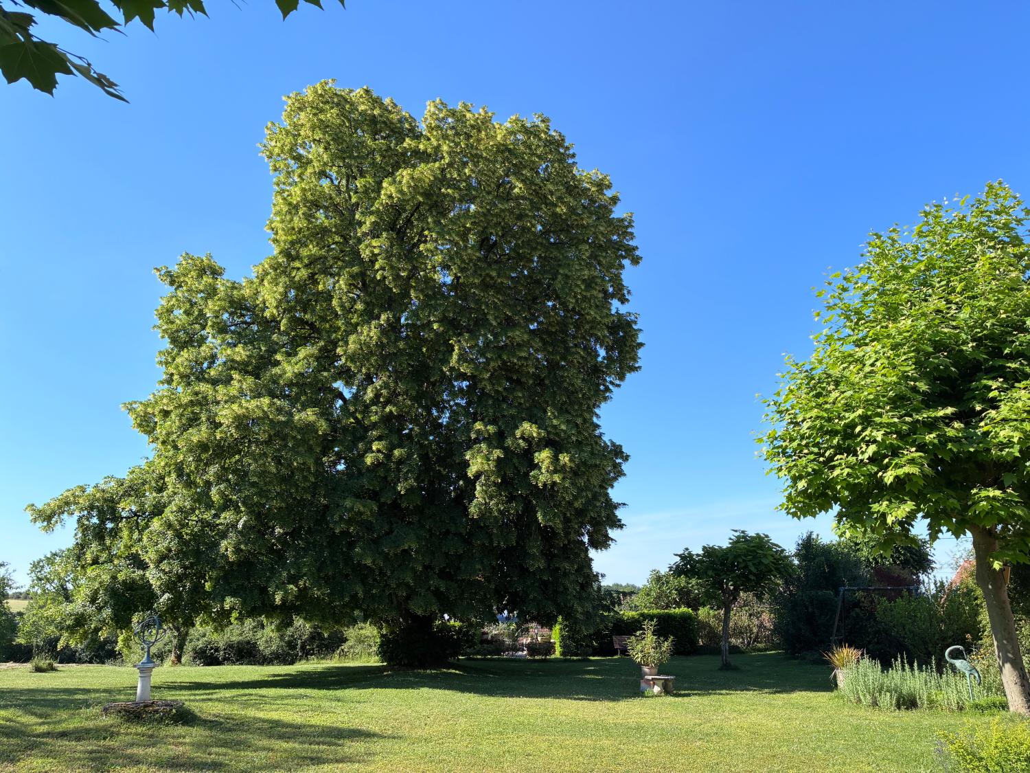 kaufen Landgut Saint-Cyprien Dordogne 4