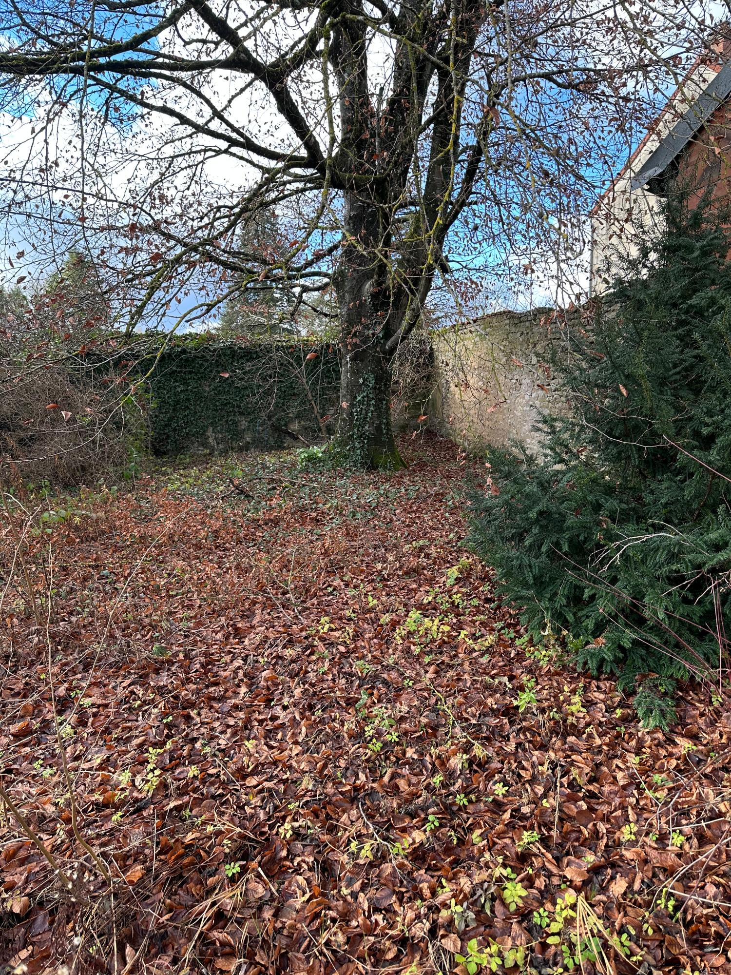 kaufen Dorfhaus Leuglay Côte-d'Or 23