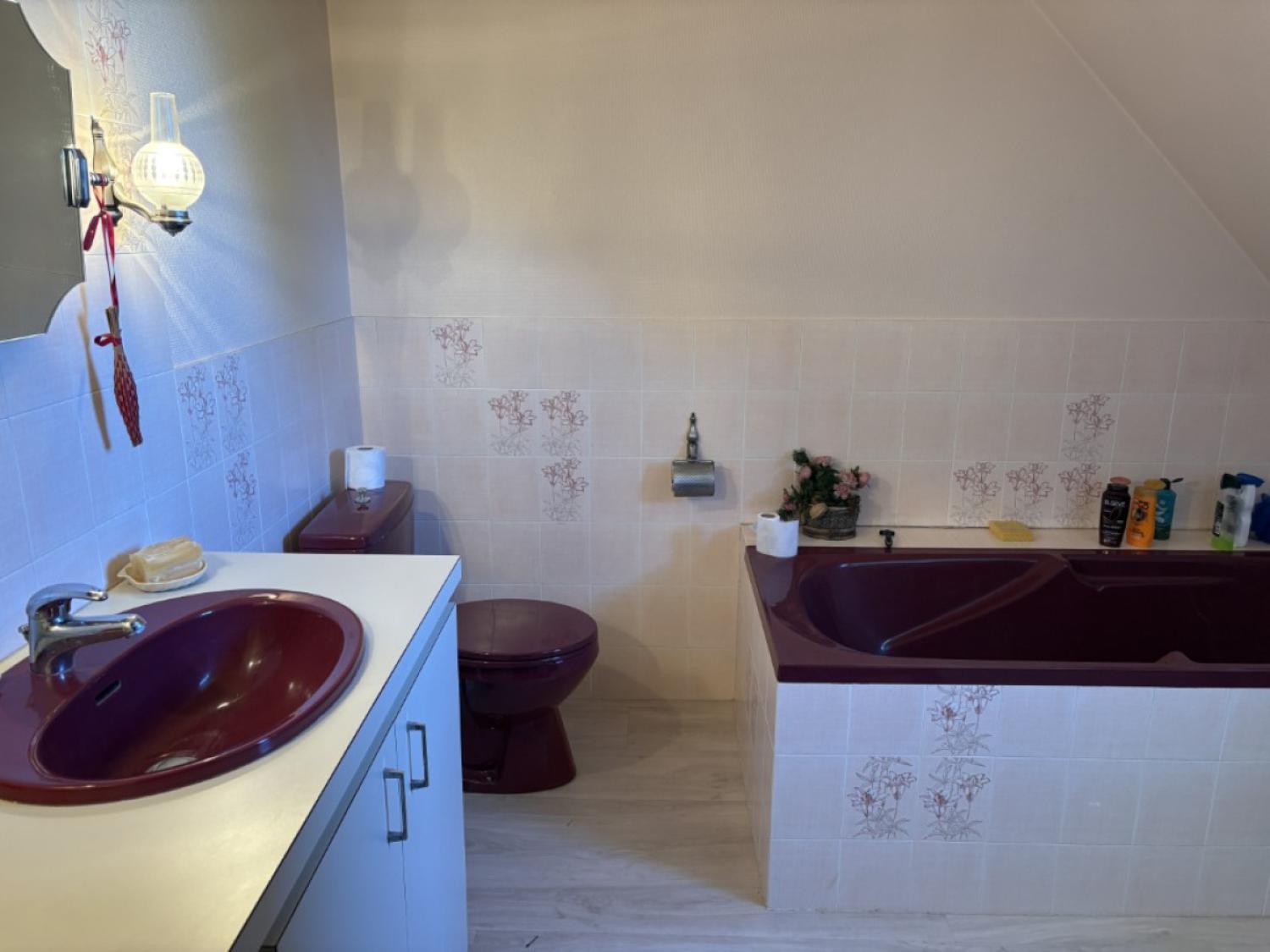 kaufen Freistehend Arnac-Pompadour Corrèze 15