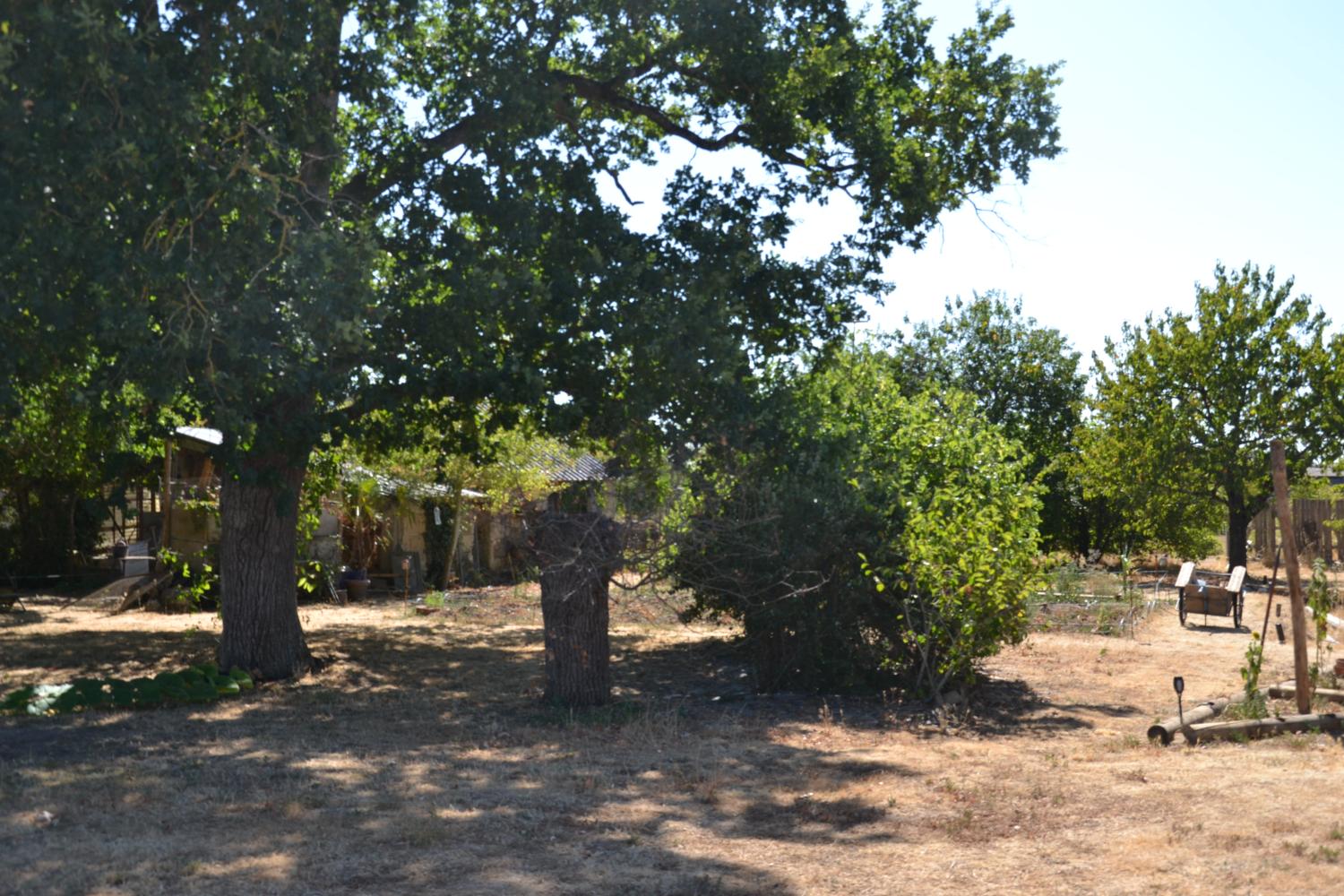  kaufen Bauernhof Chavagnes Maine-et-Loire 4