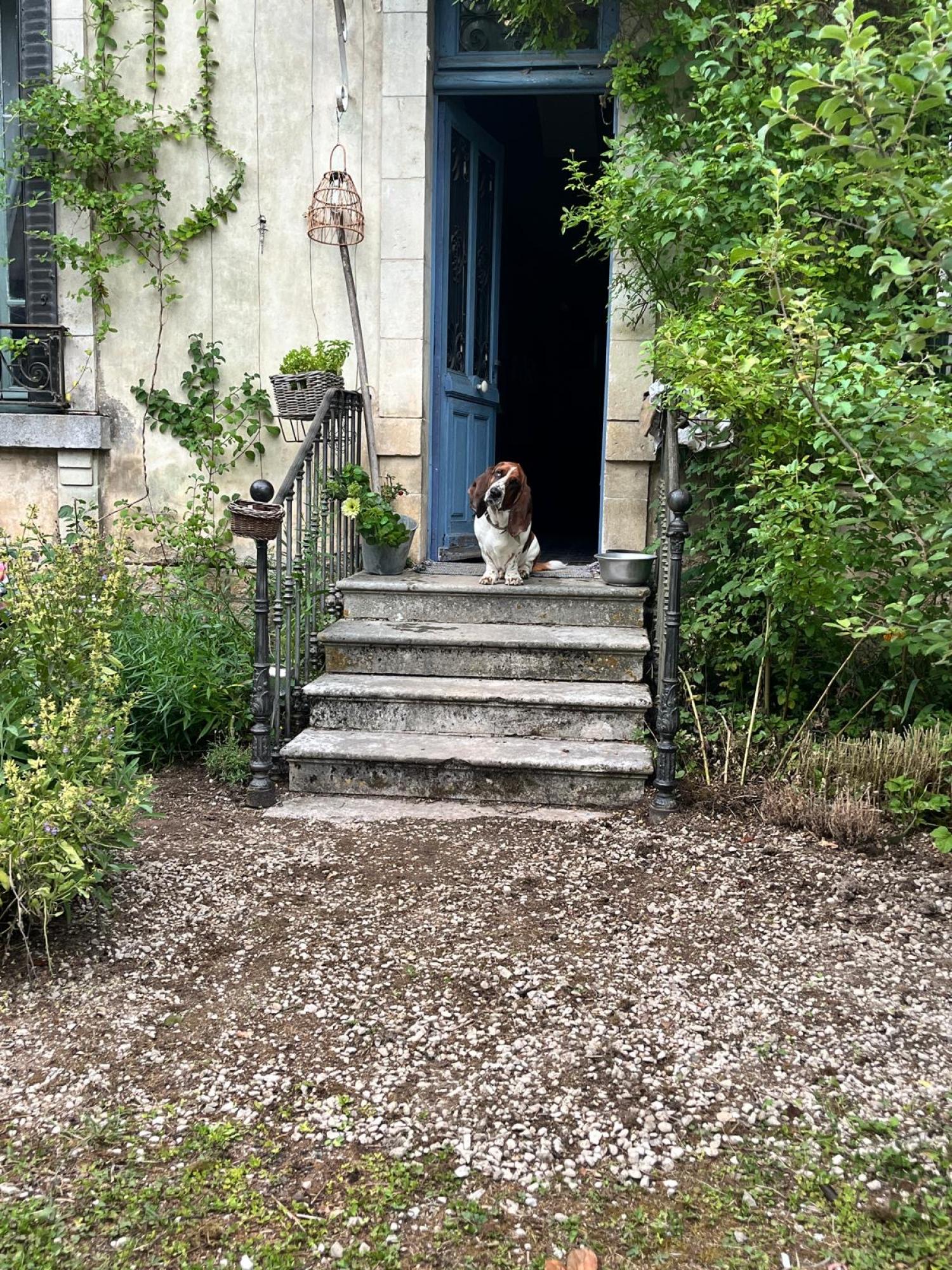  kaufen Dorfhaus Leuglay Côte-d'Or 11